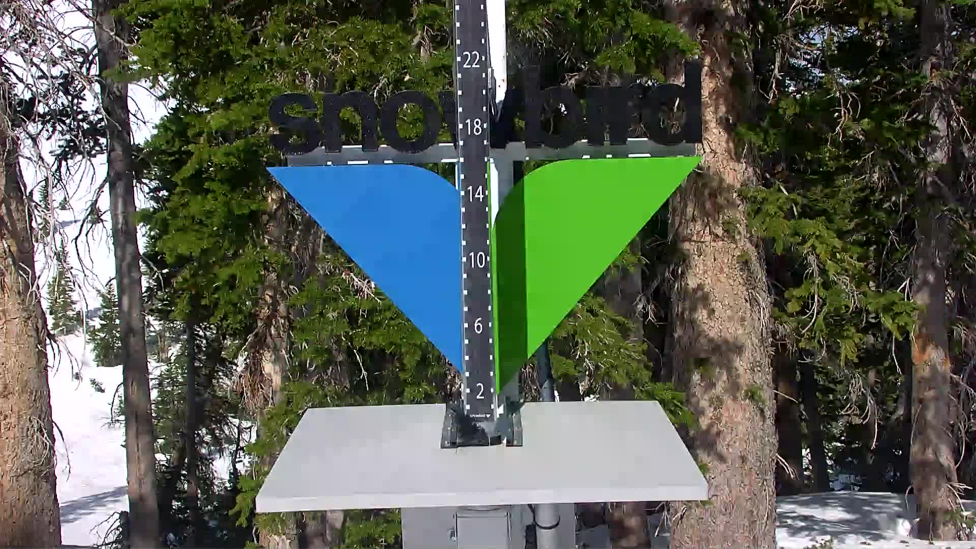 Snowbird snow stake cam