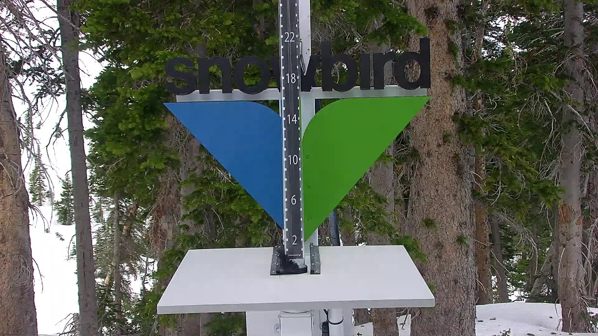 Snowbird snow stake cam