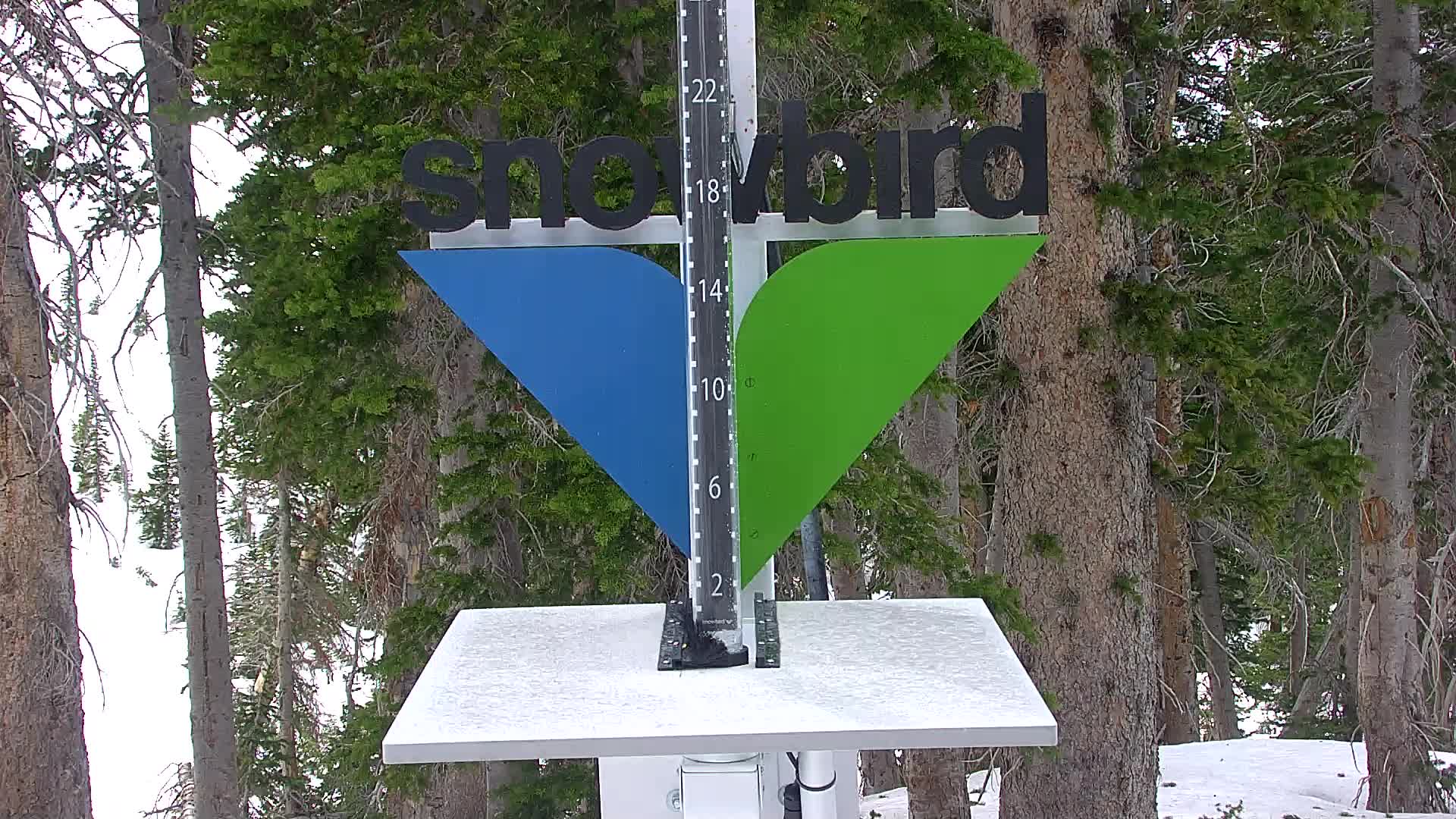 Snowbird snow stake cam