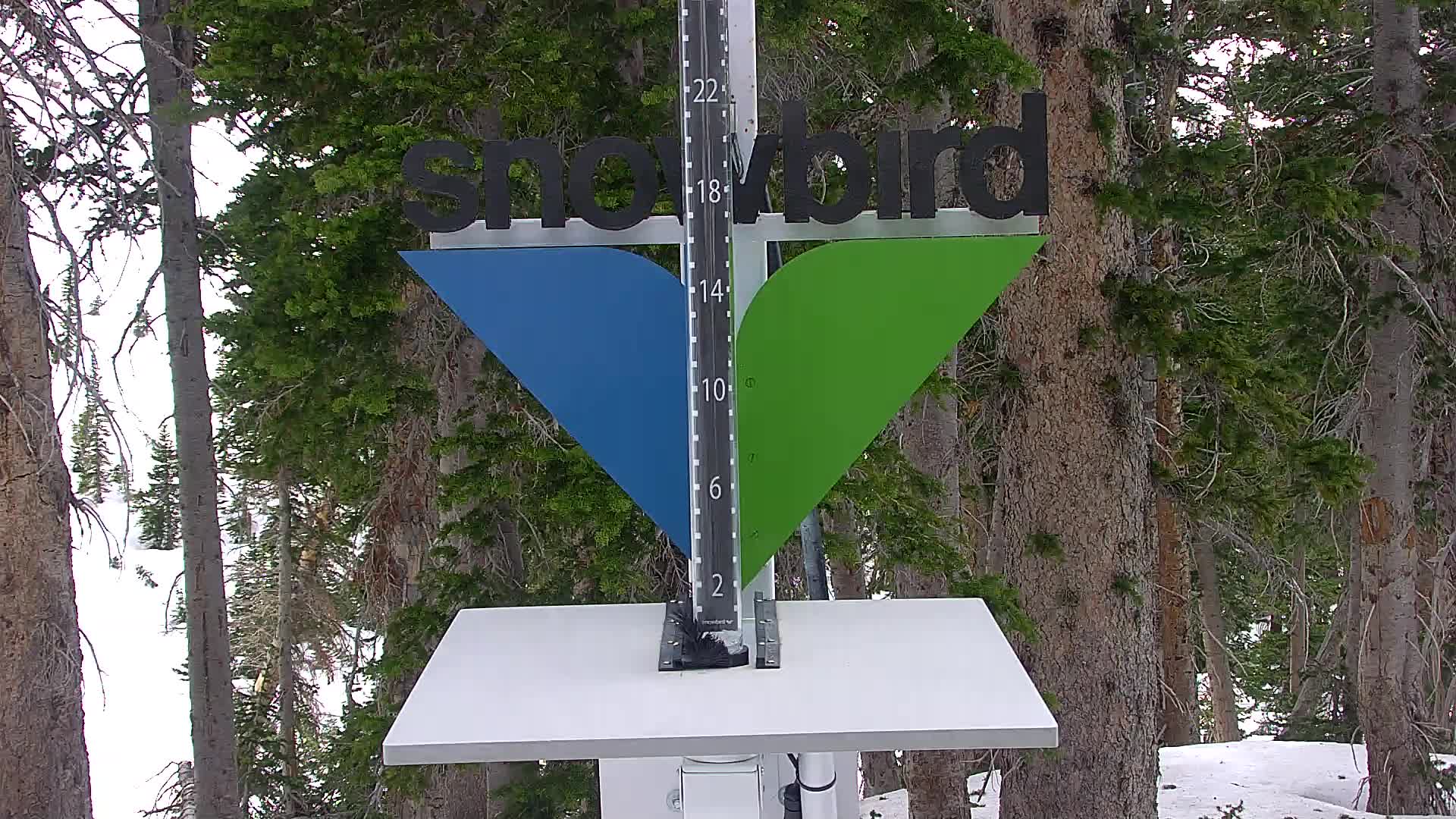 Snowbird snow stake cam