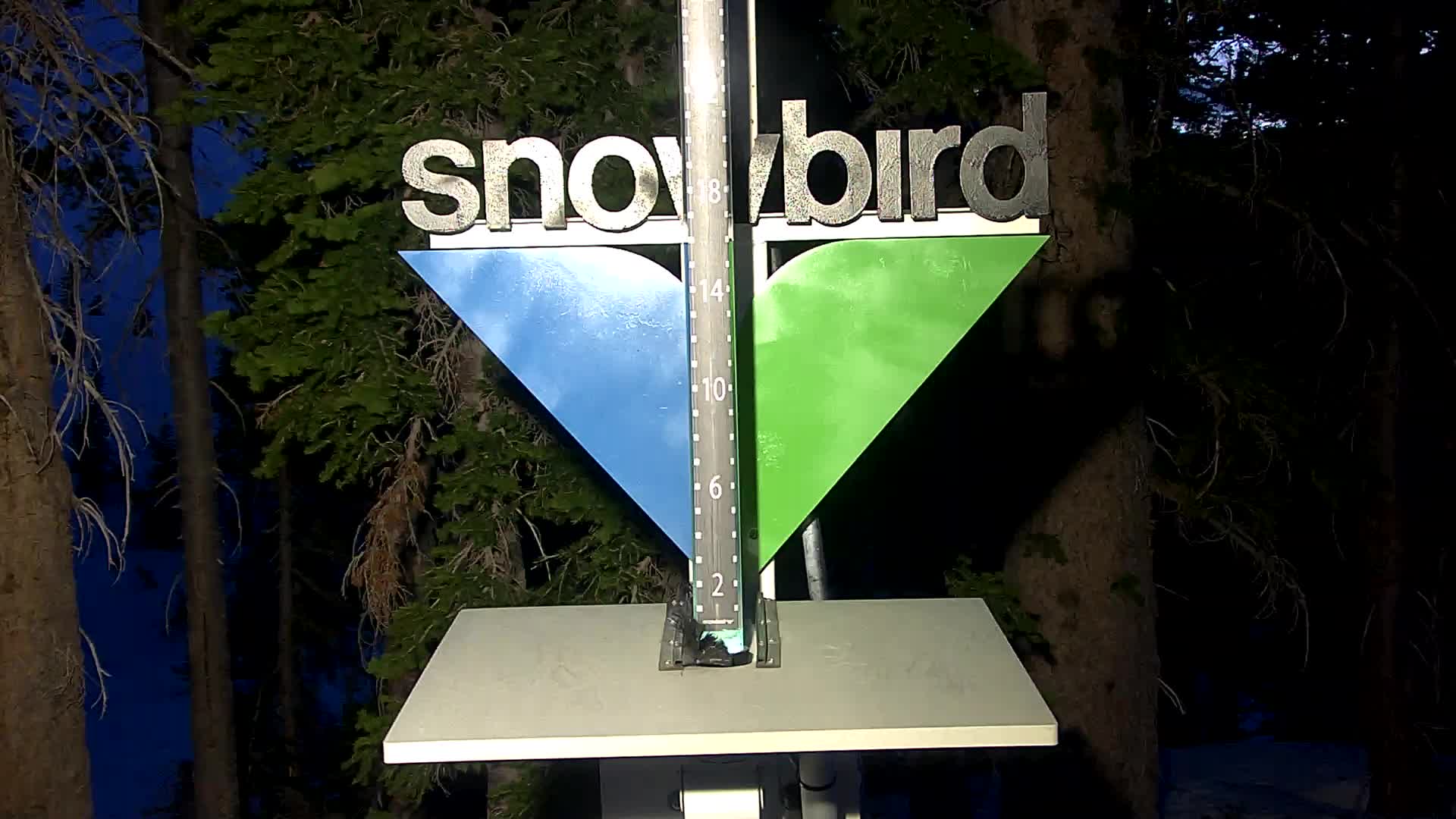 Snowbird snow stake cam
