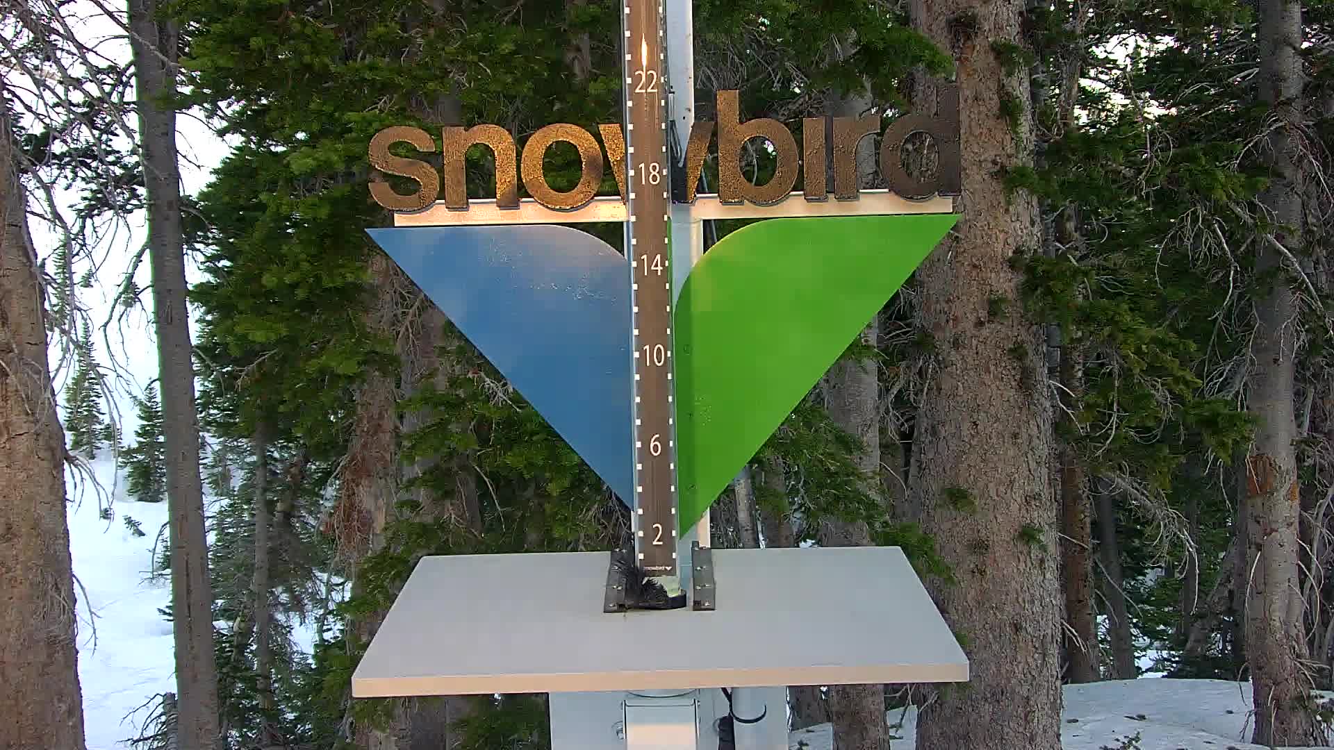 Snowbird snow stake cam