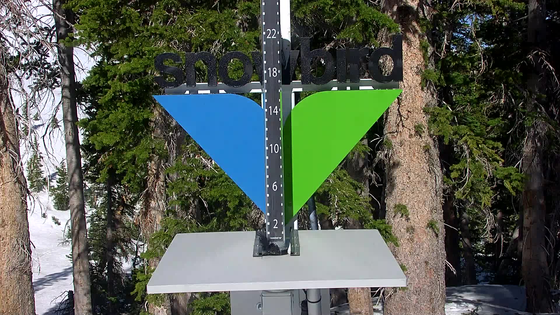 Snowbird snow stake cam