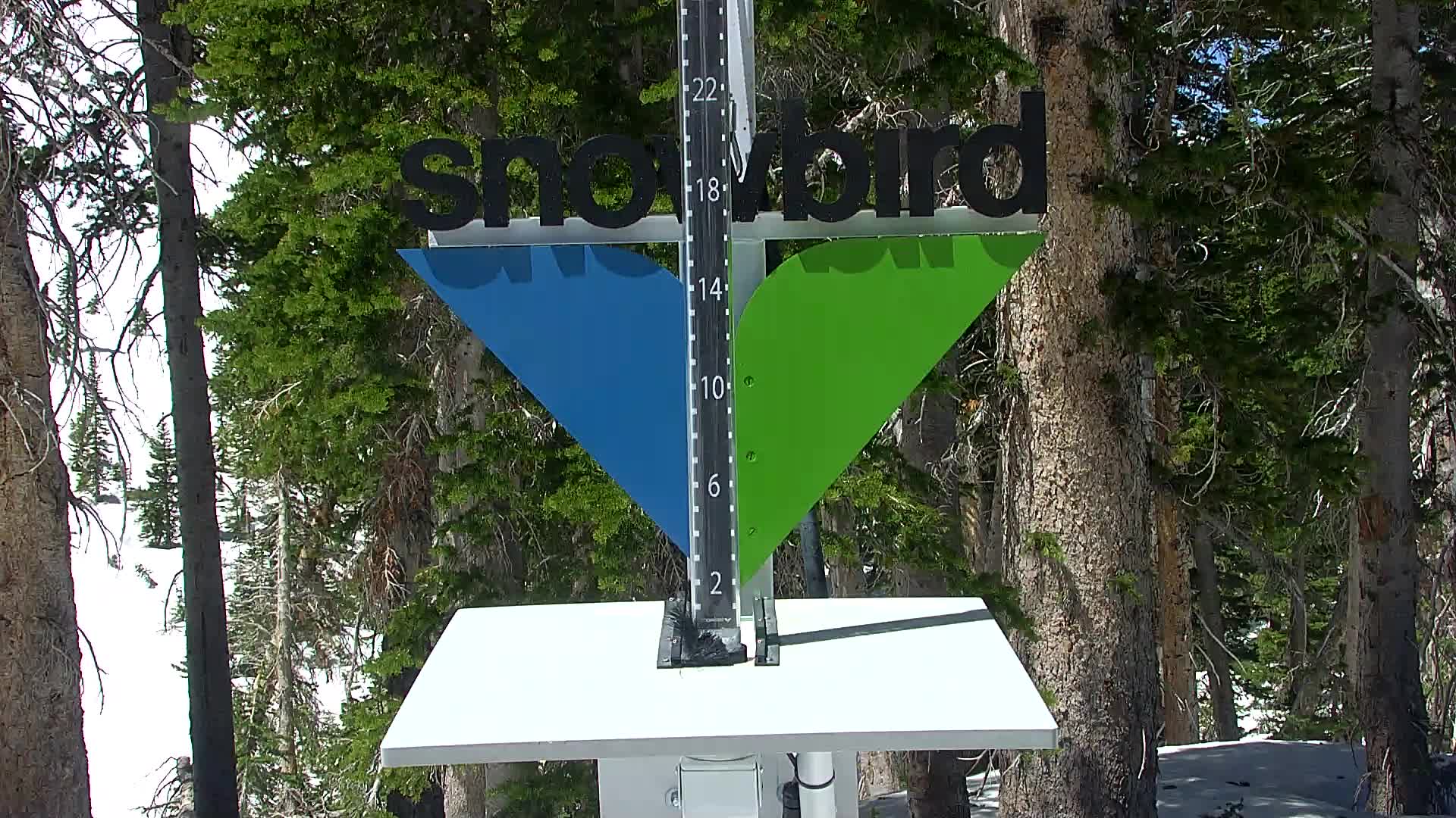 Snowbird snow stake cam