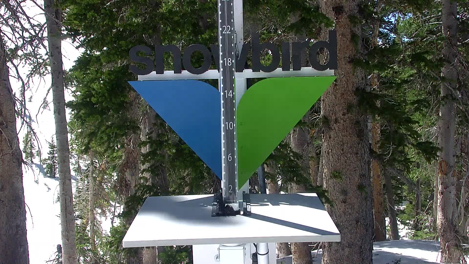 Snowbird snow stake cam