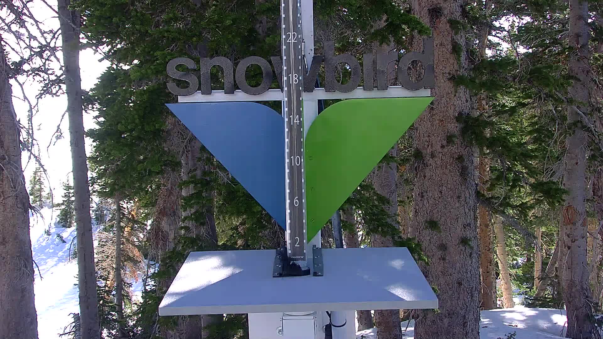 Snowbird snow stake cam