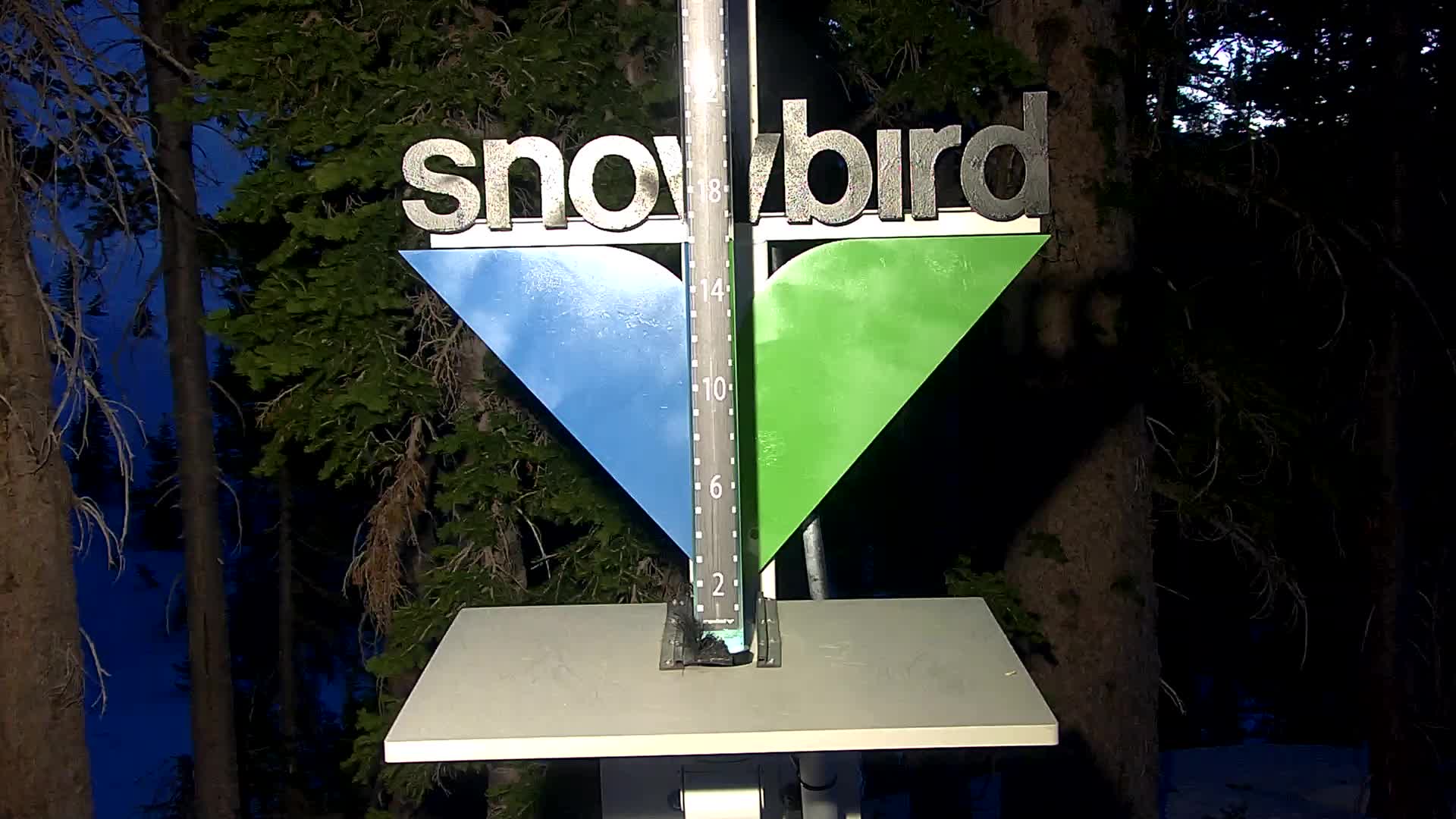 Snowbird snow stake cam