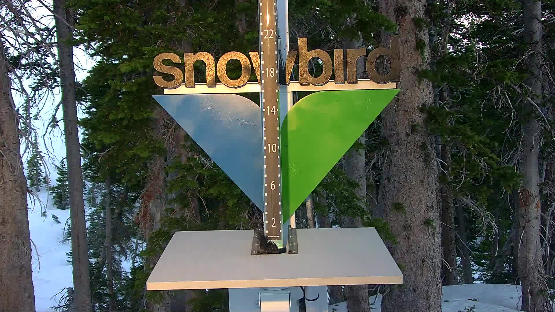 Snowbird snow stake cam