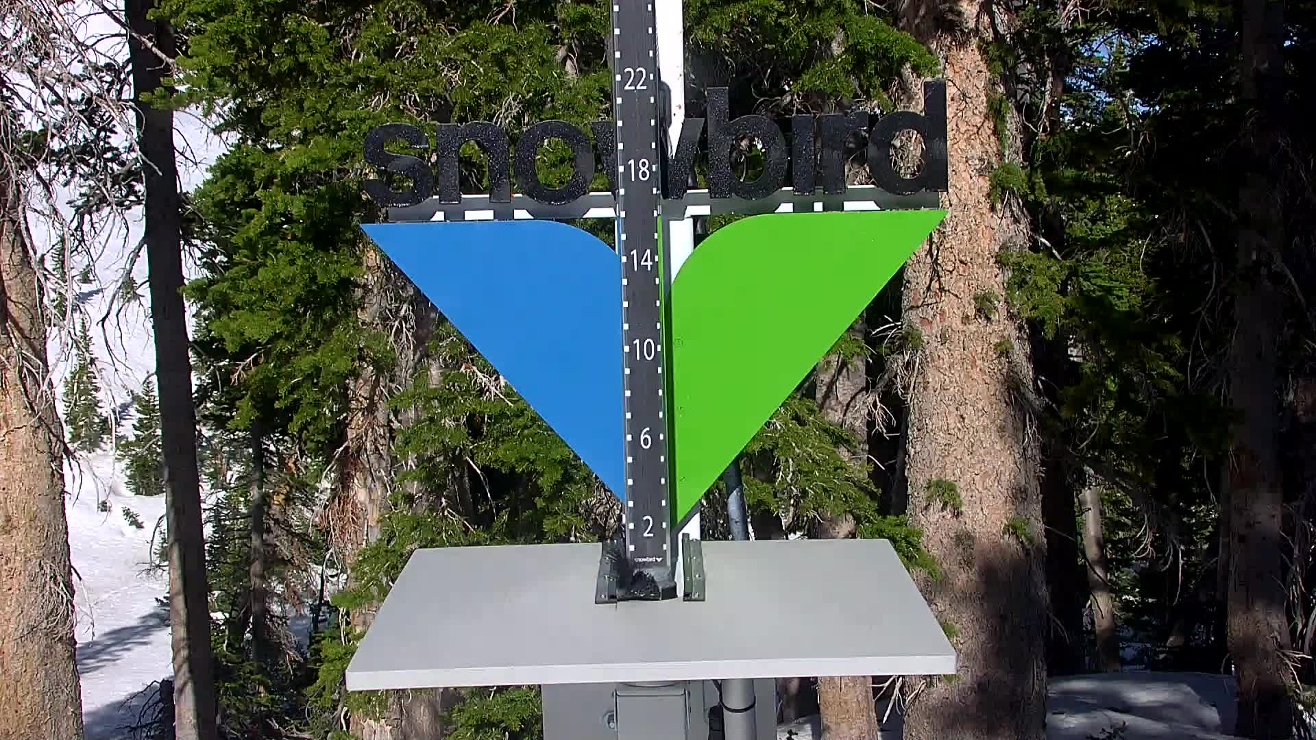 Snowbird snow stake cam