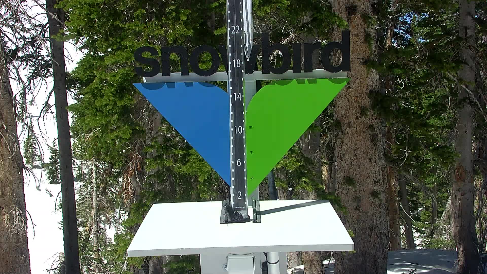 Snowbird snow stake cam