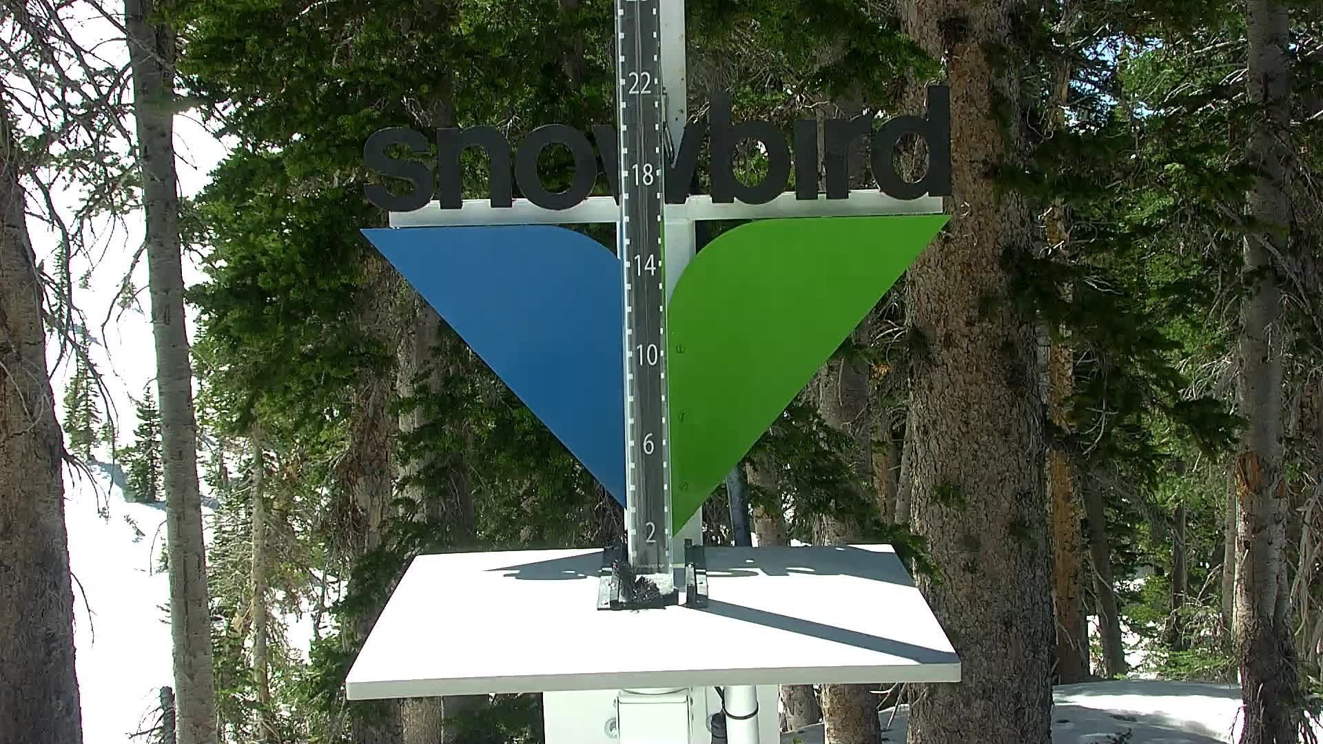 Snowbird snow stake cam