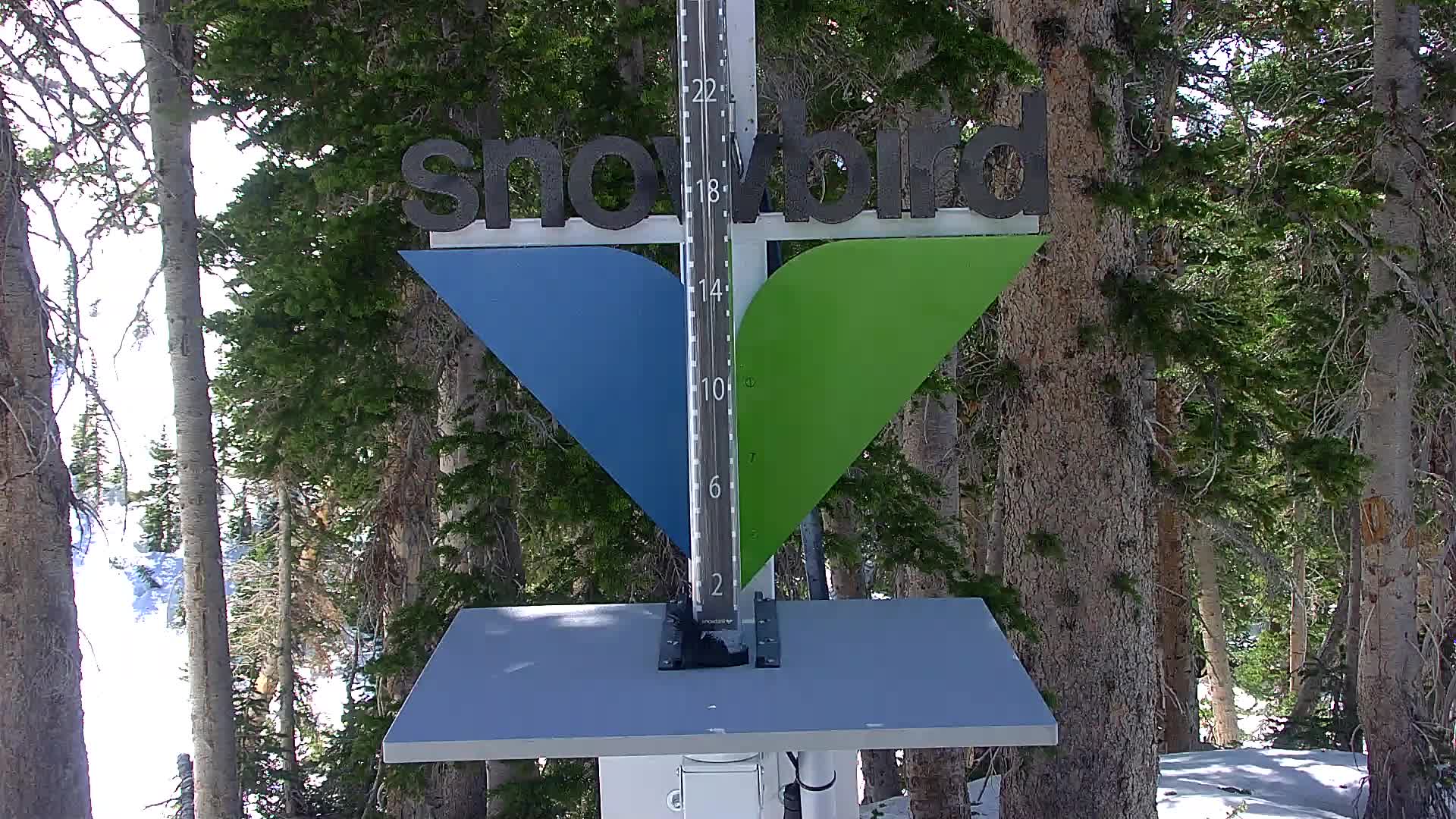 Snowbird snow stake cam