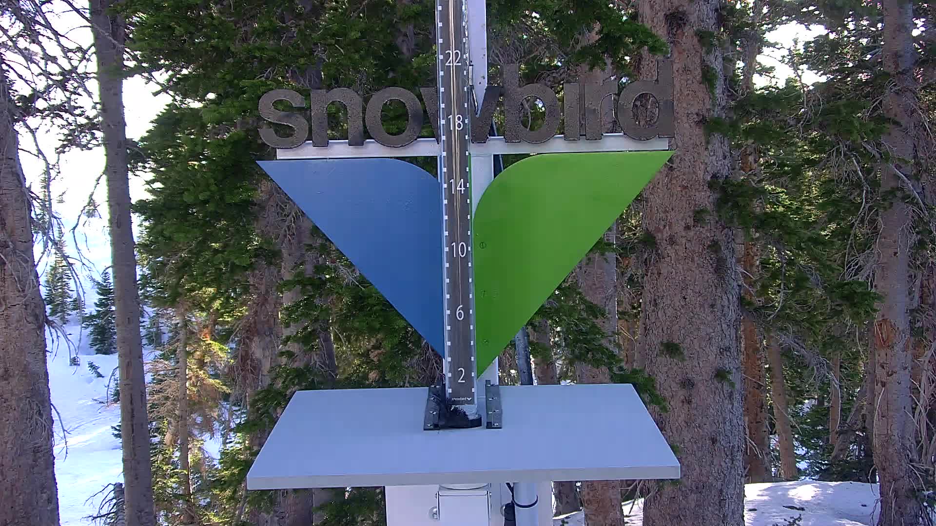 Snowbird snow stake cam