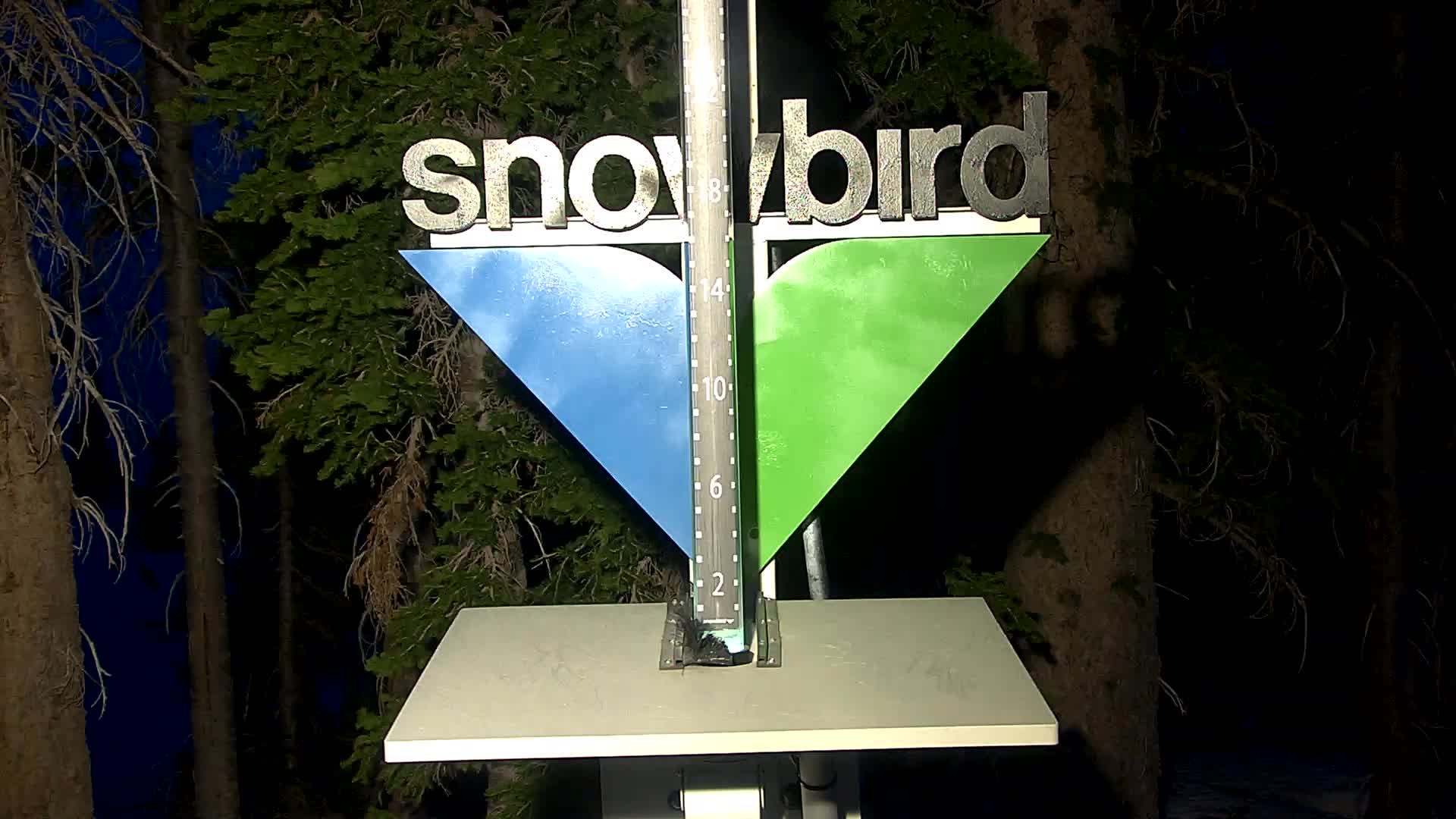 Snowbird snow stake cam