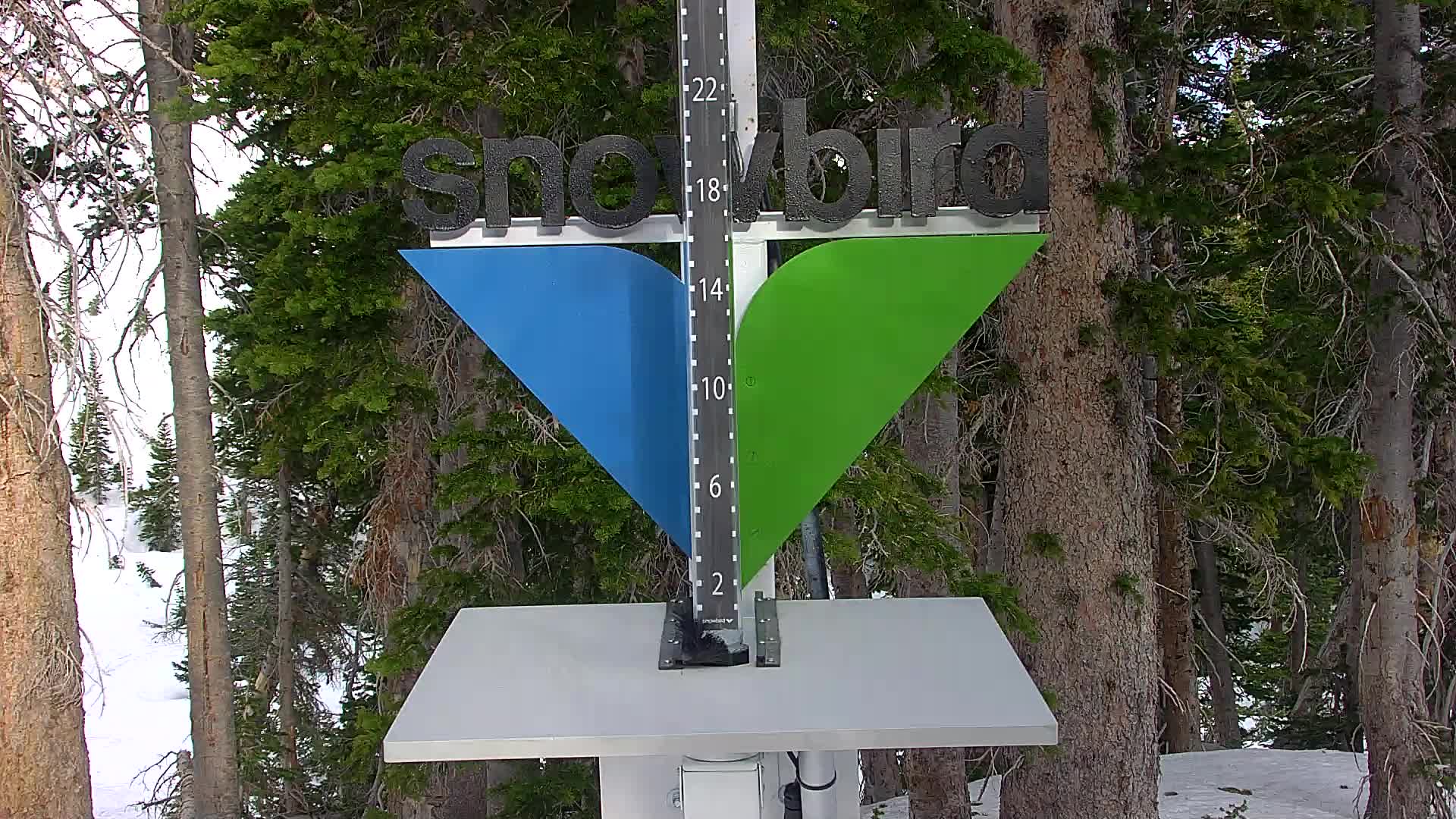 Snowbird snow stake cam