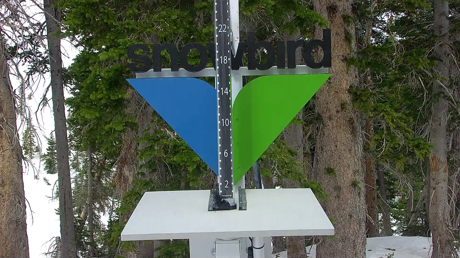 Snowbird snow stake cam
