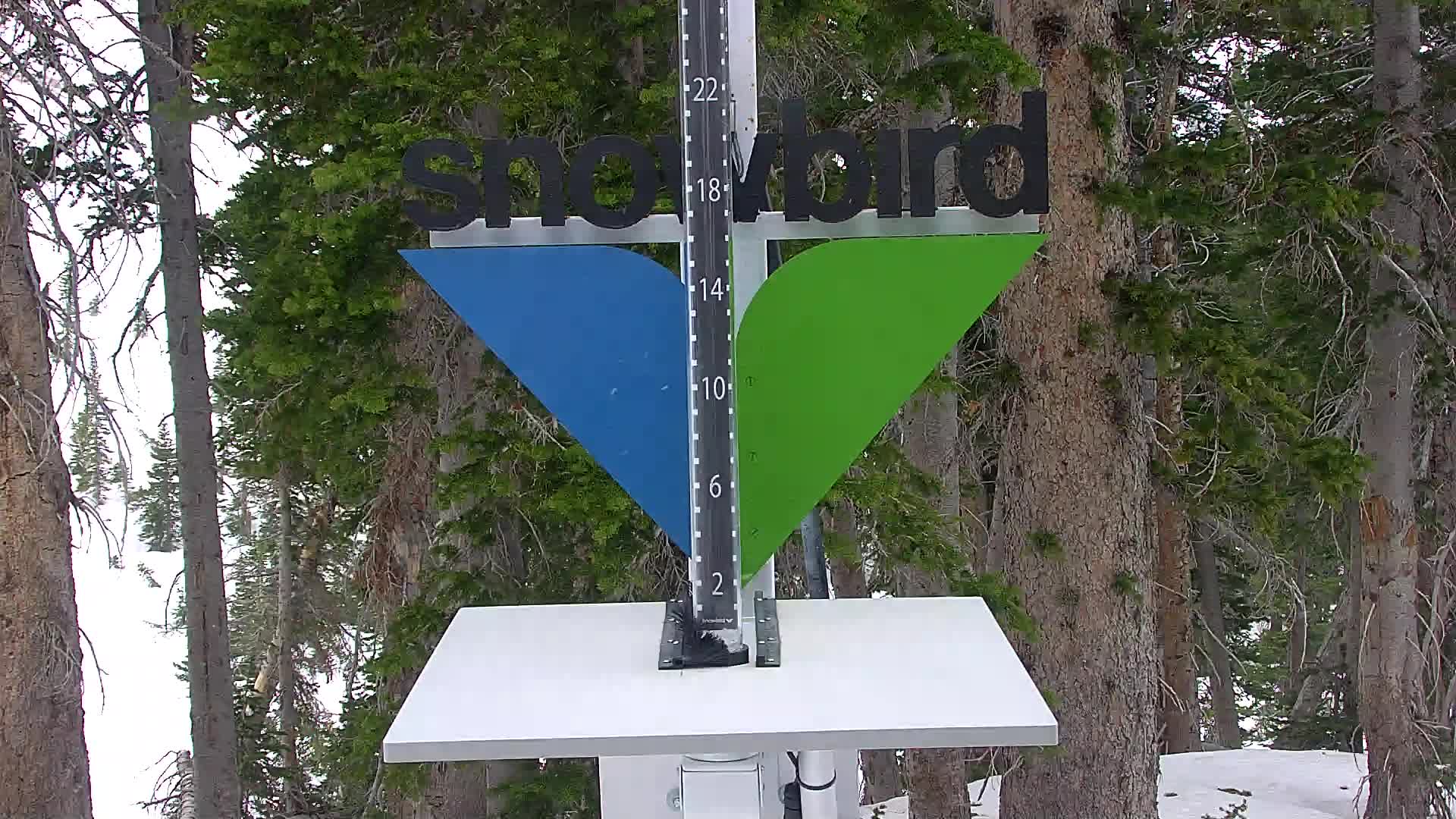 Snowbird snow stake cam