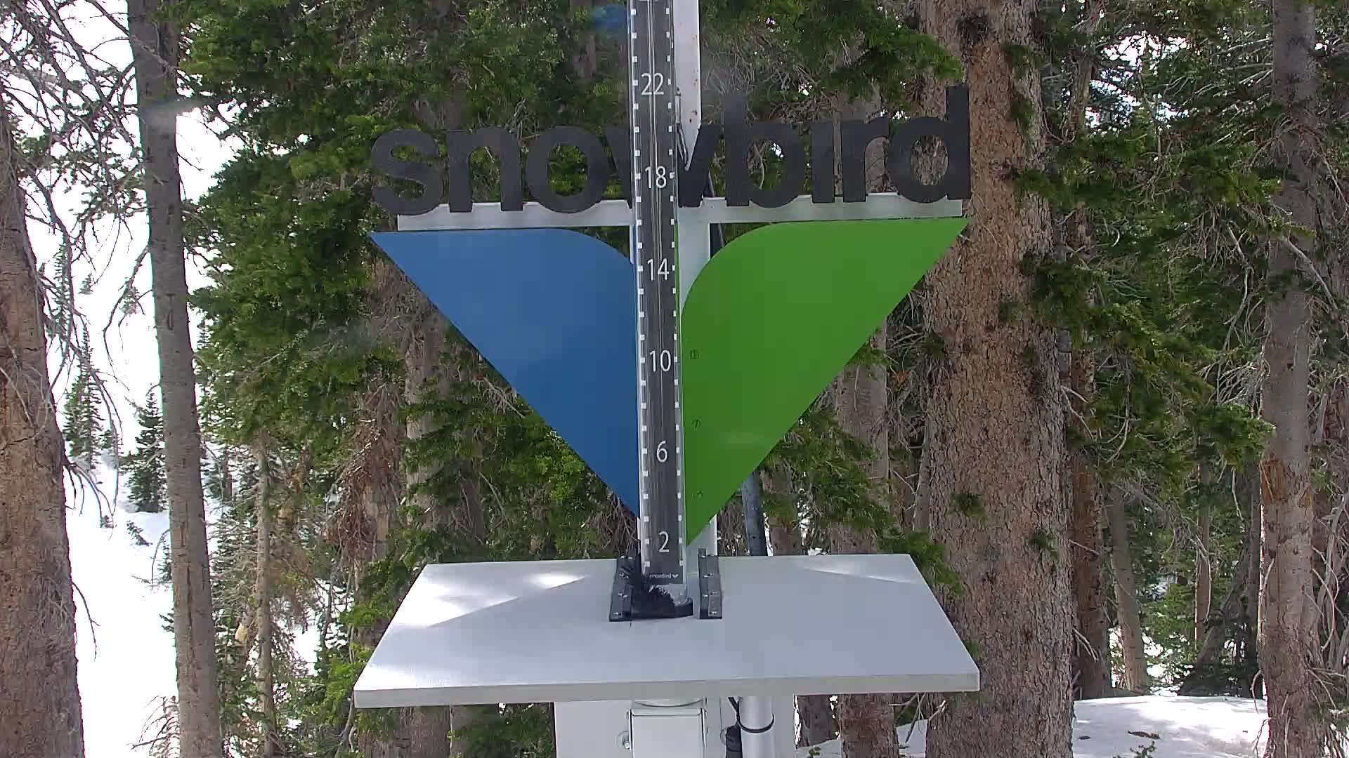 Snowbird snow stake cam