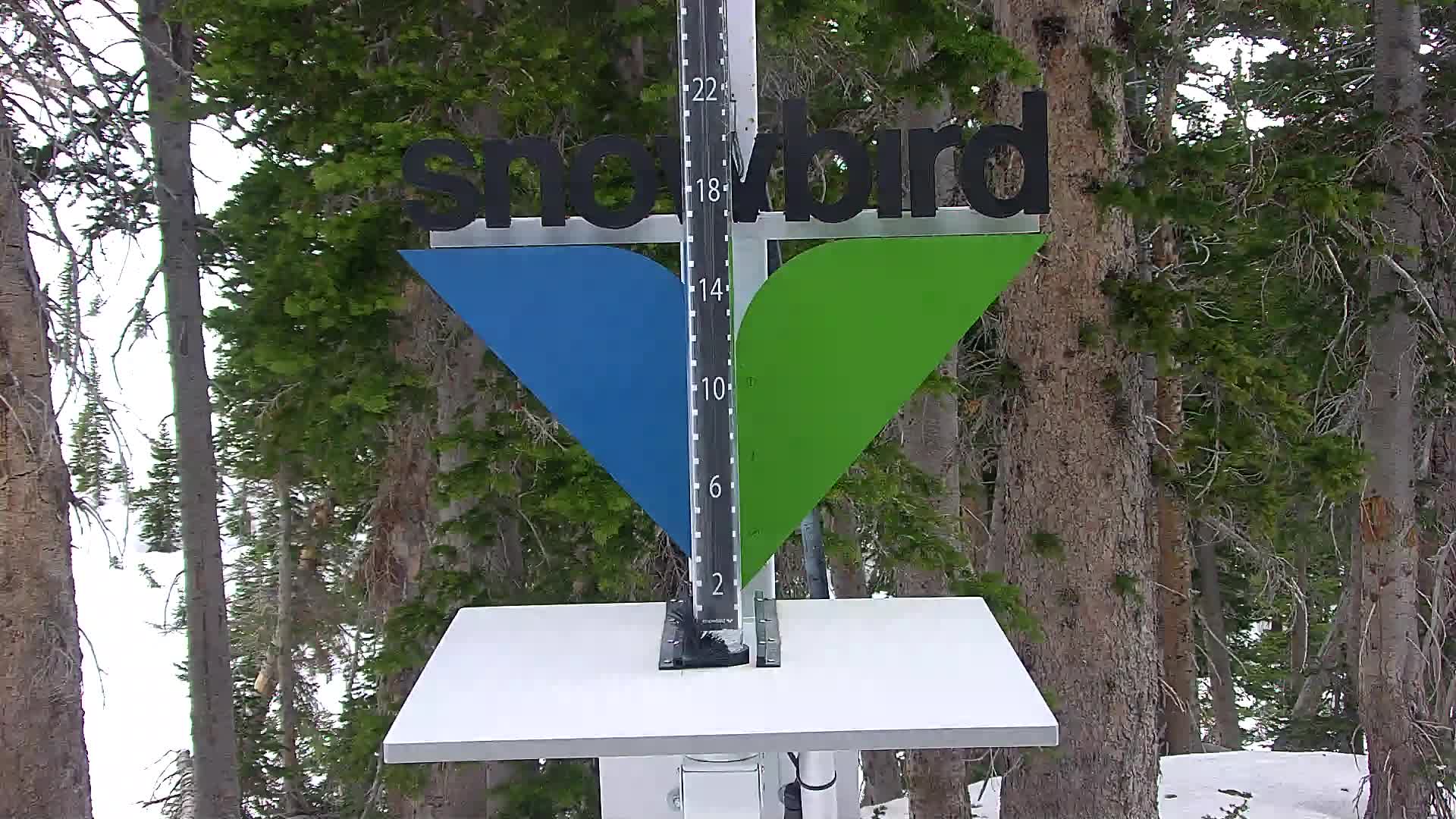 Snowbird snow stake cam