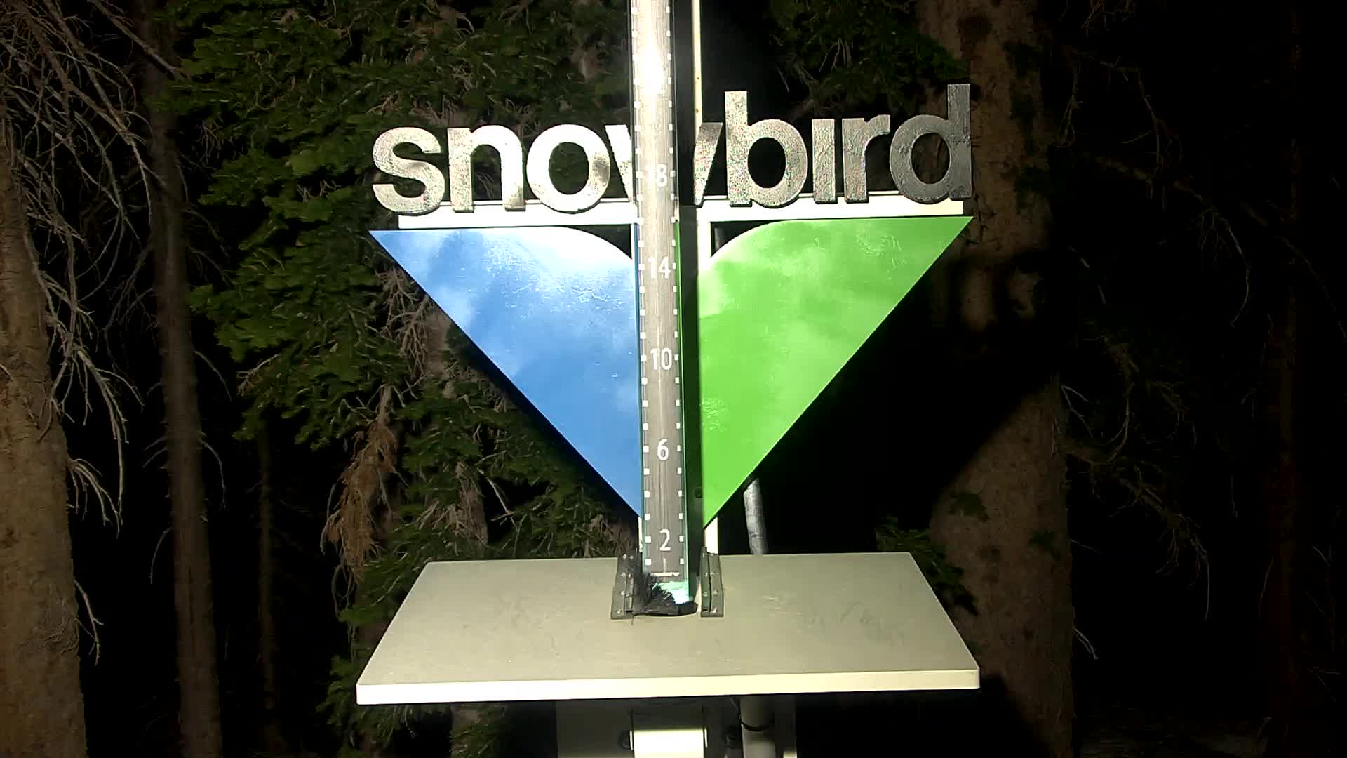 Snowbird snow stake cam