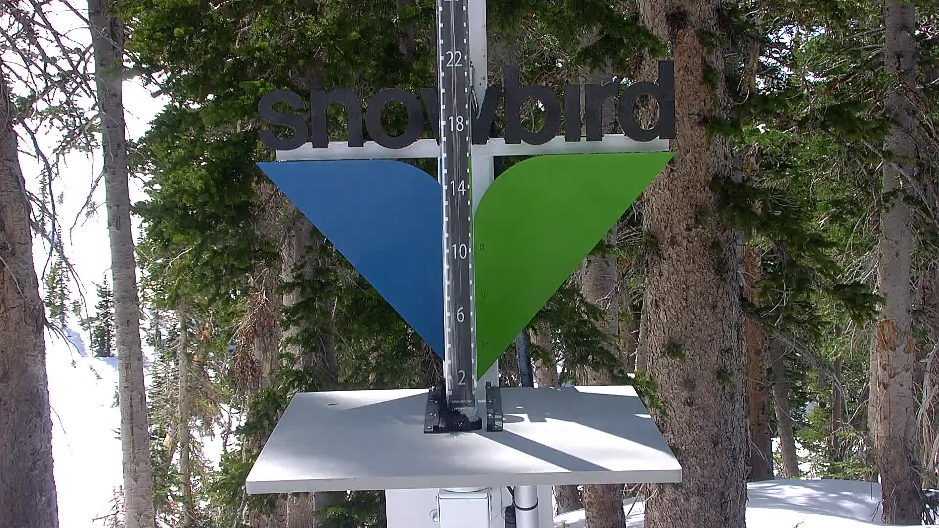 Snowbird snow stake cam