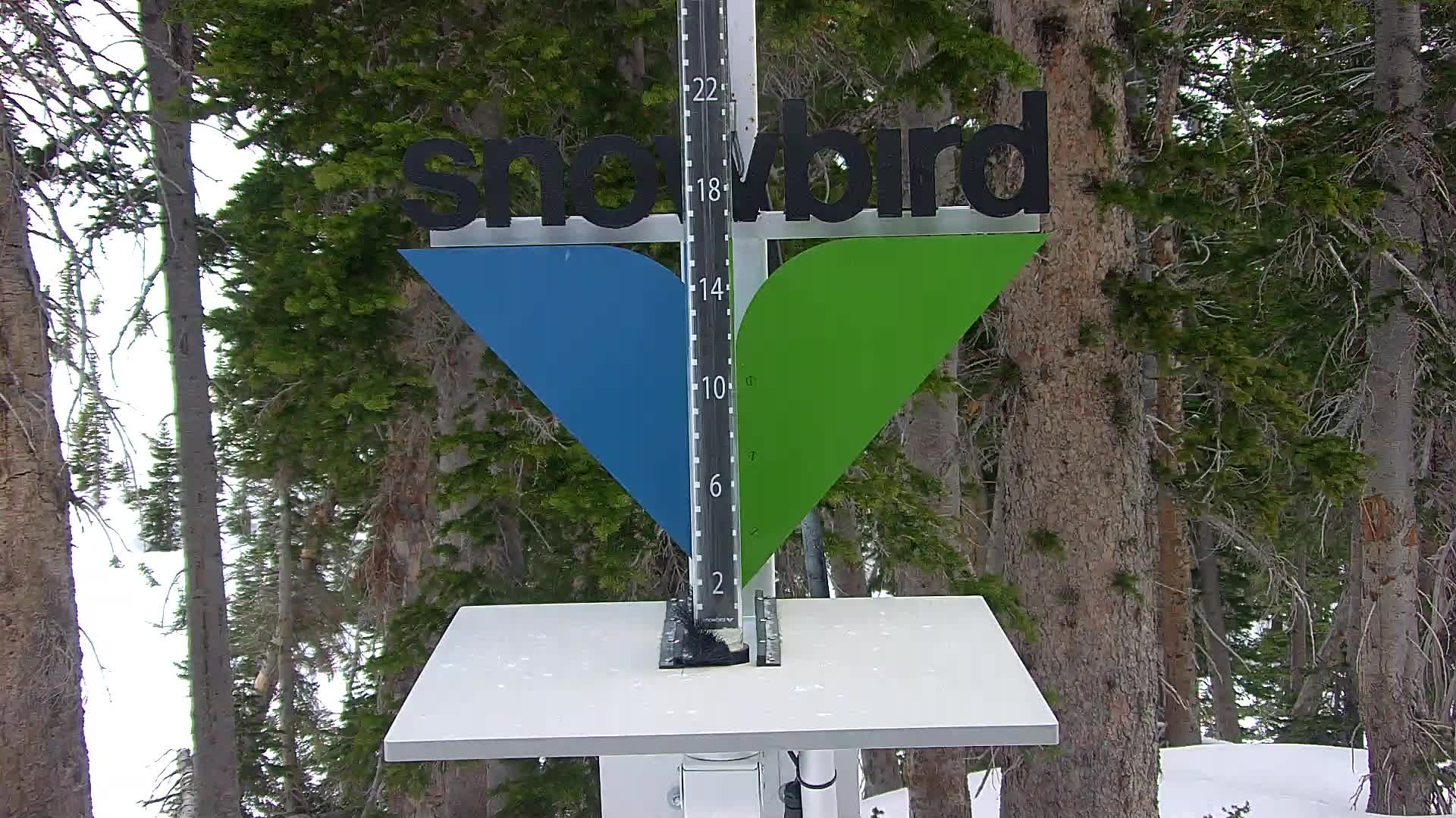 Snowbird snow stake cam
