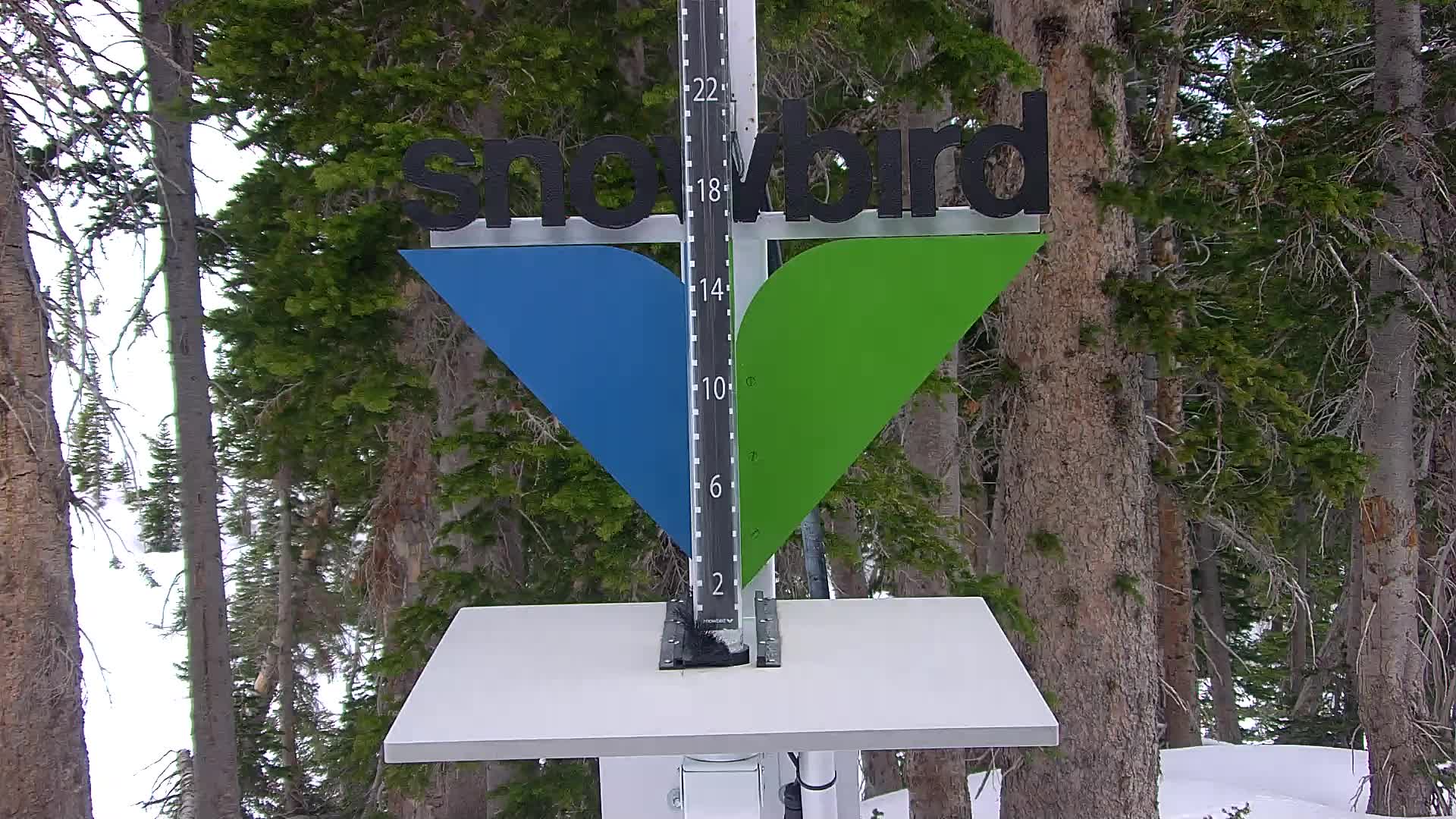 Snowbird snow stake cam