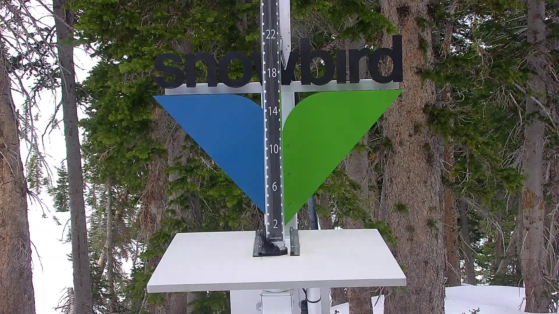 Snowbird snow stake cam