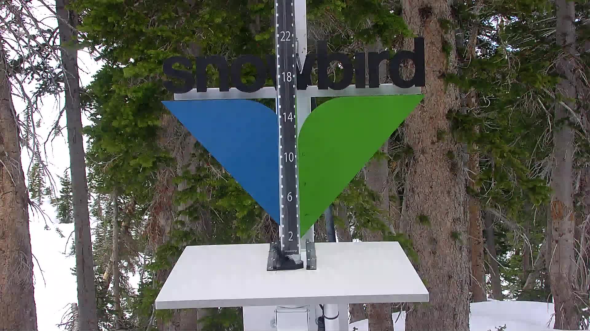 Snowbird snow stake cam