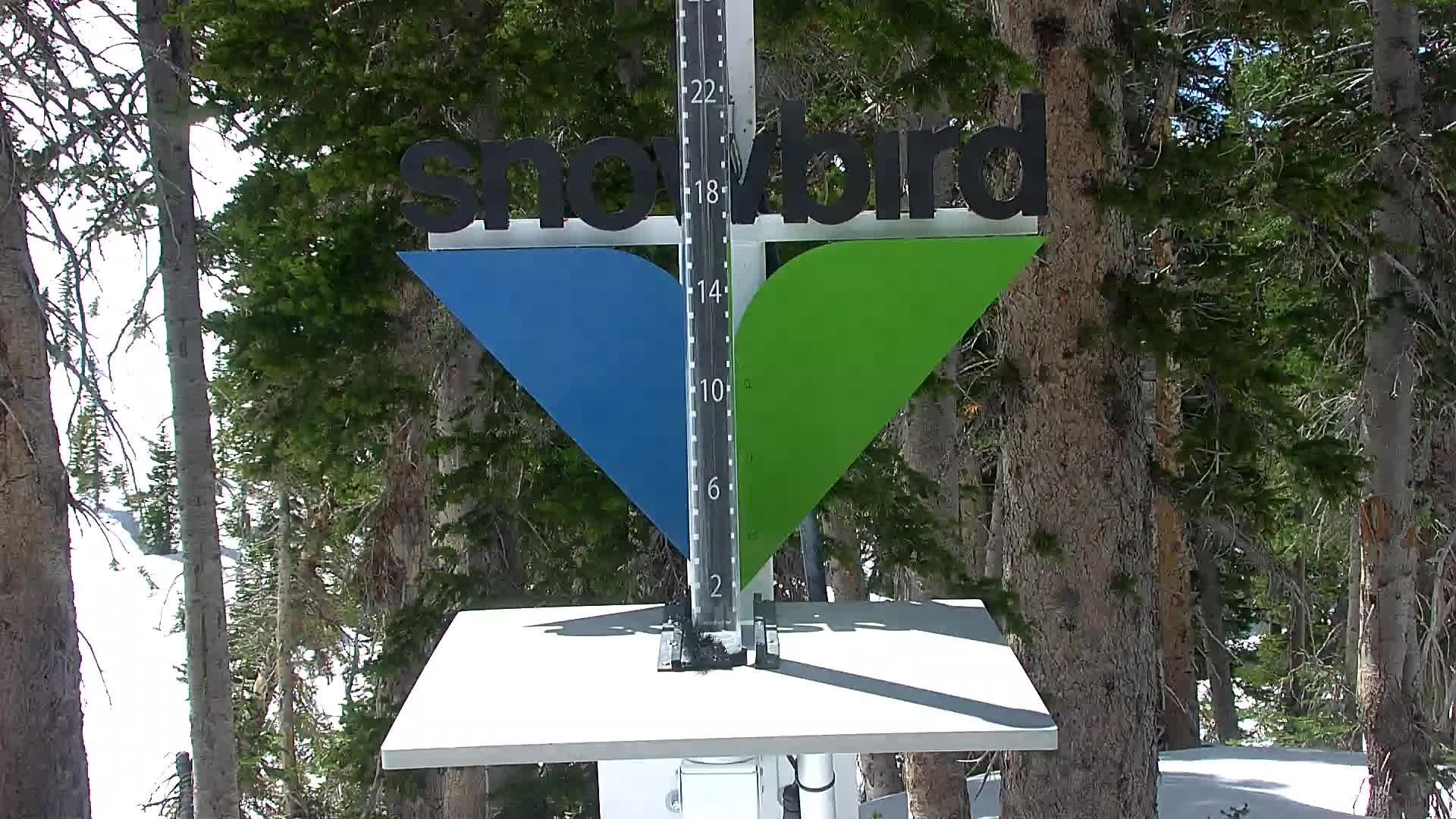 Snowbird snow stake cam