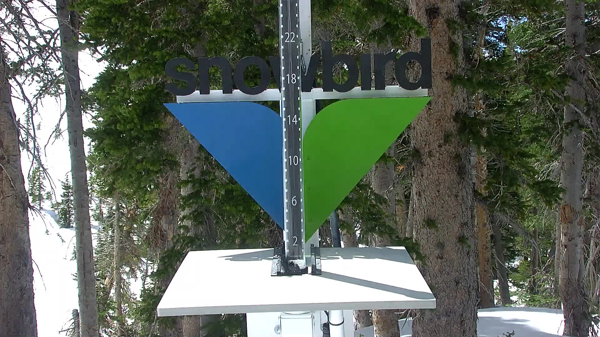 Snowbird snow stake cam