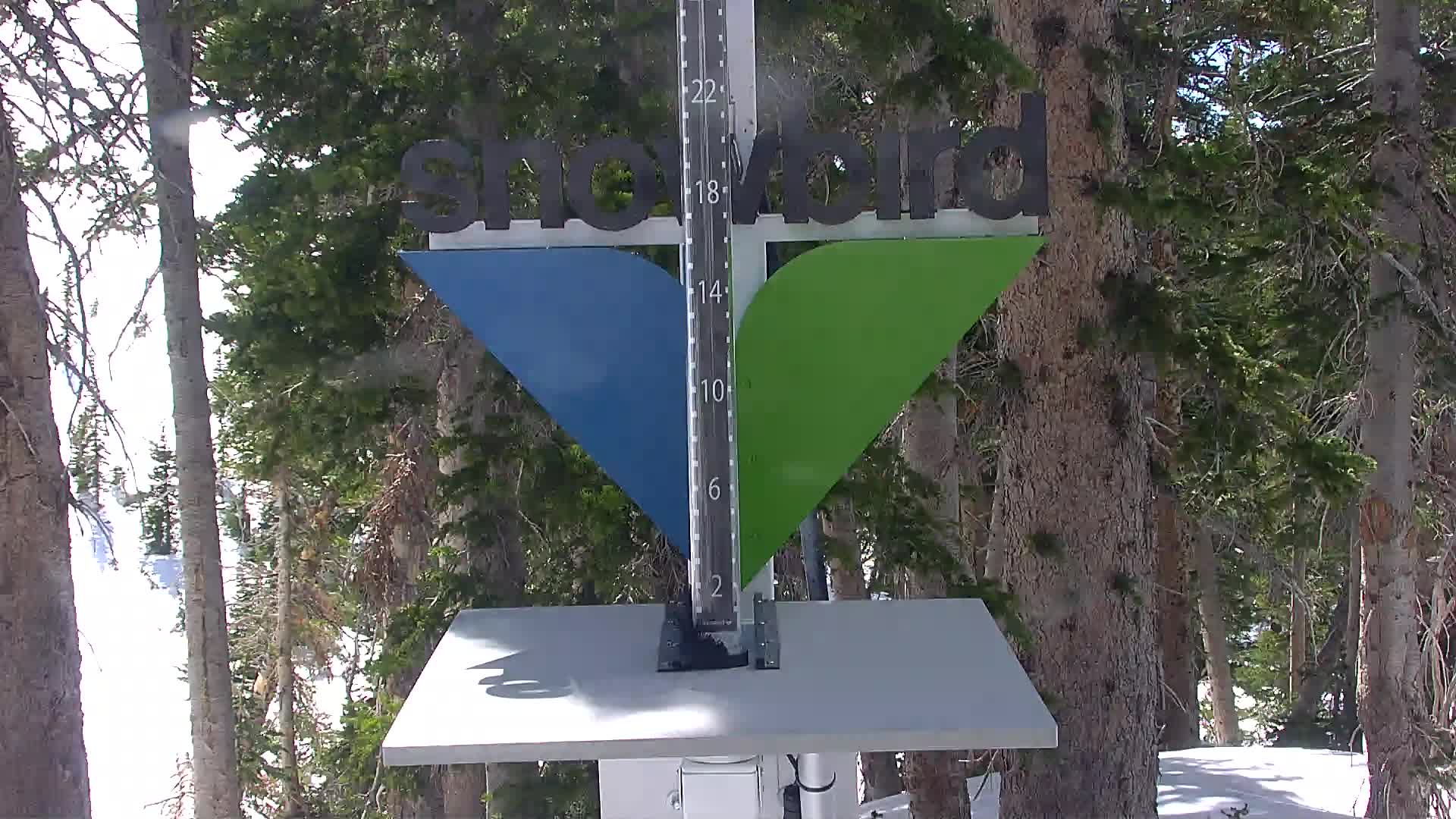 Snowbird snow stake cam