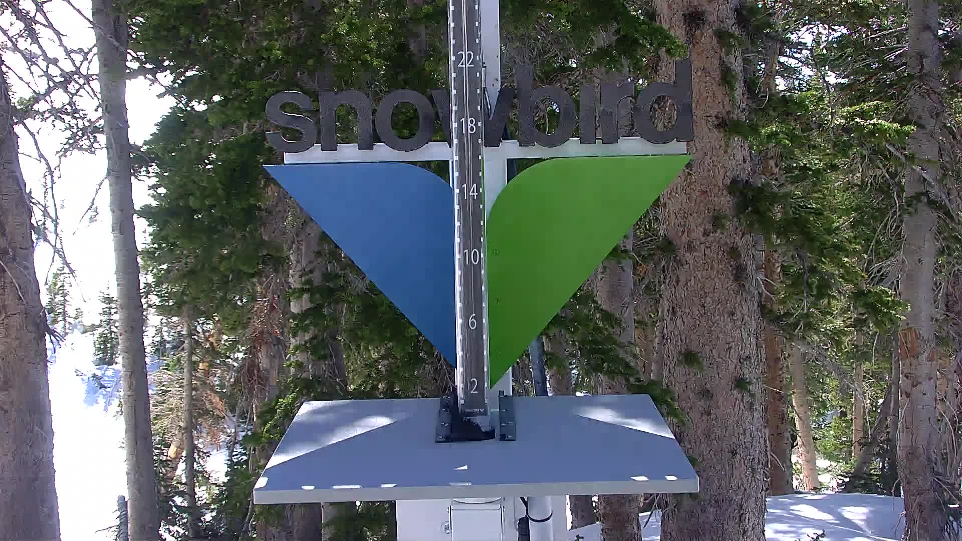 Snowbird snow stake cam