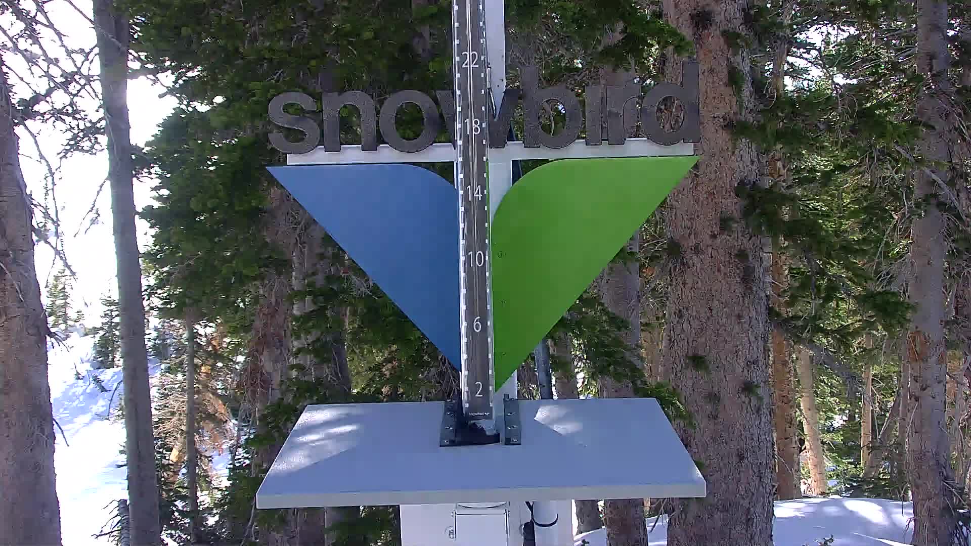 Snowbird snow stake cam