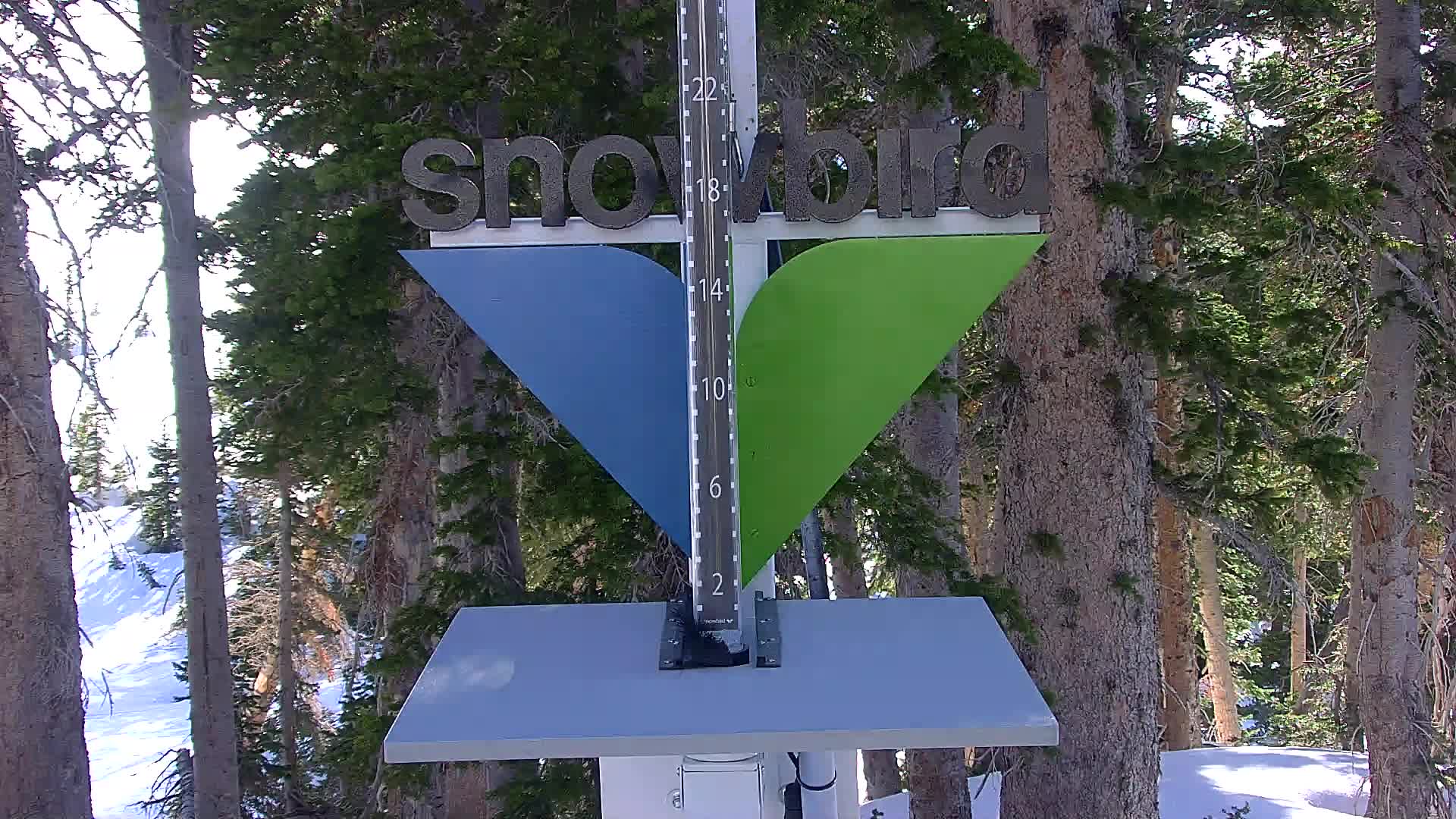 Snowbird Snowstake Cam