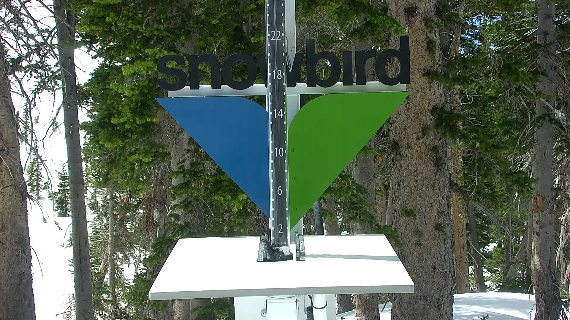Snowbird snow stake cam