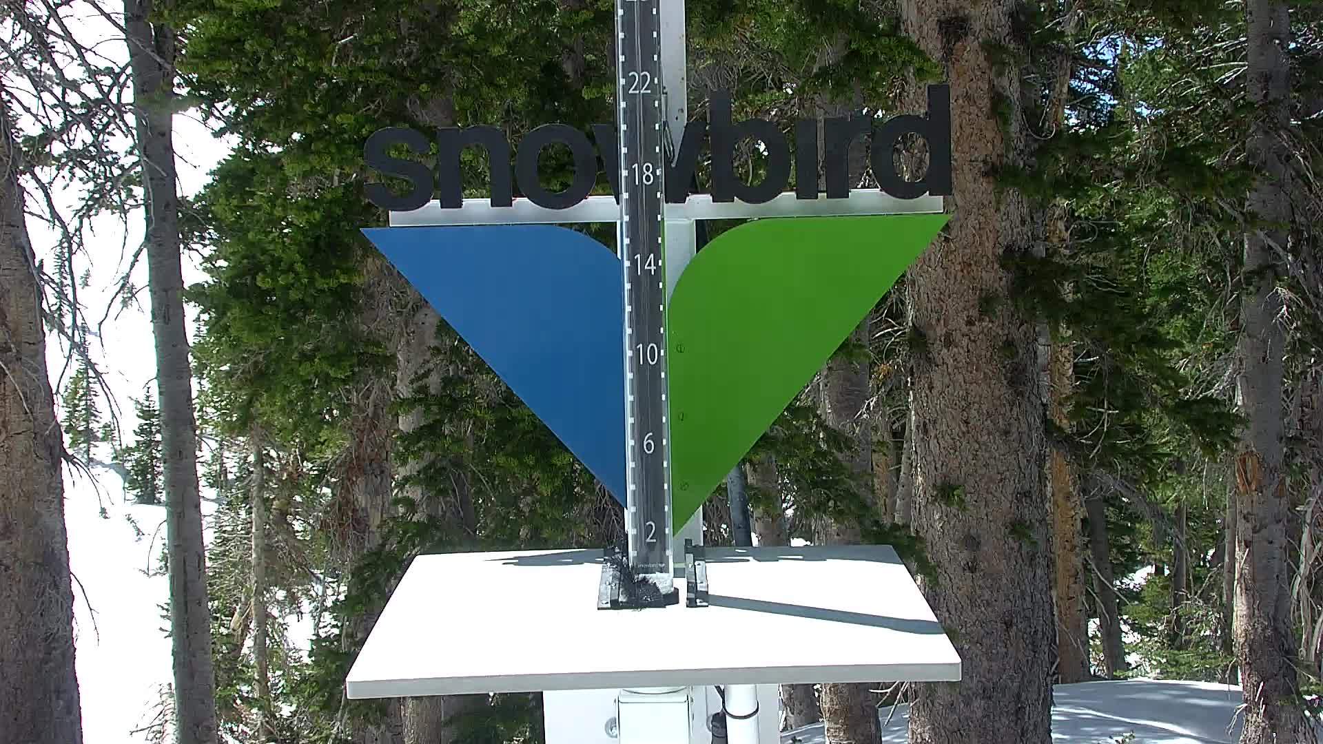 Snowbird snow stake cam