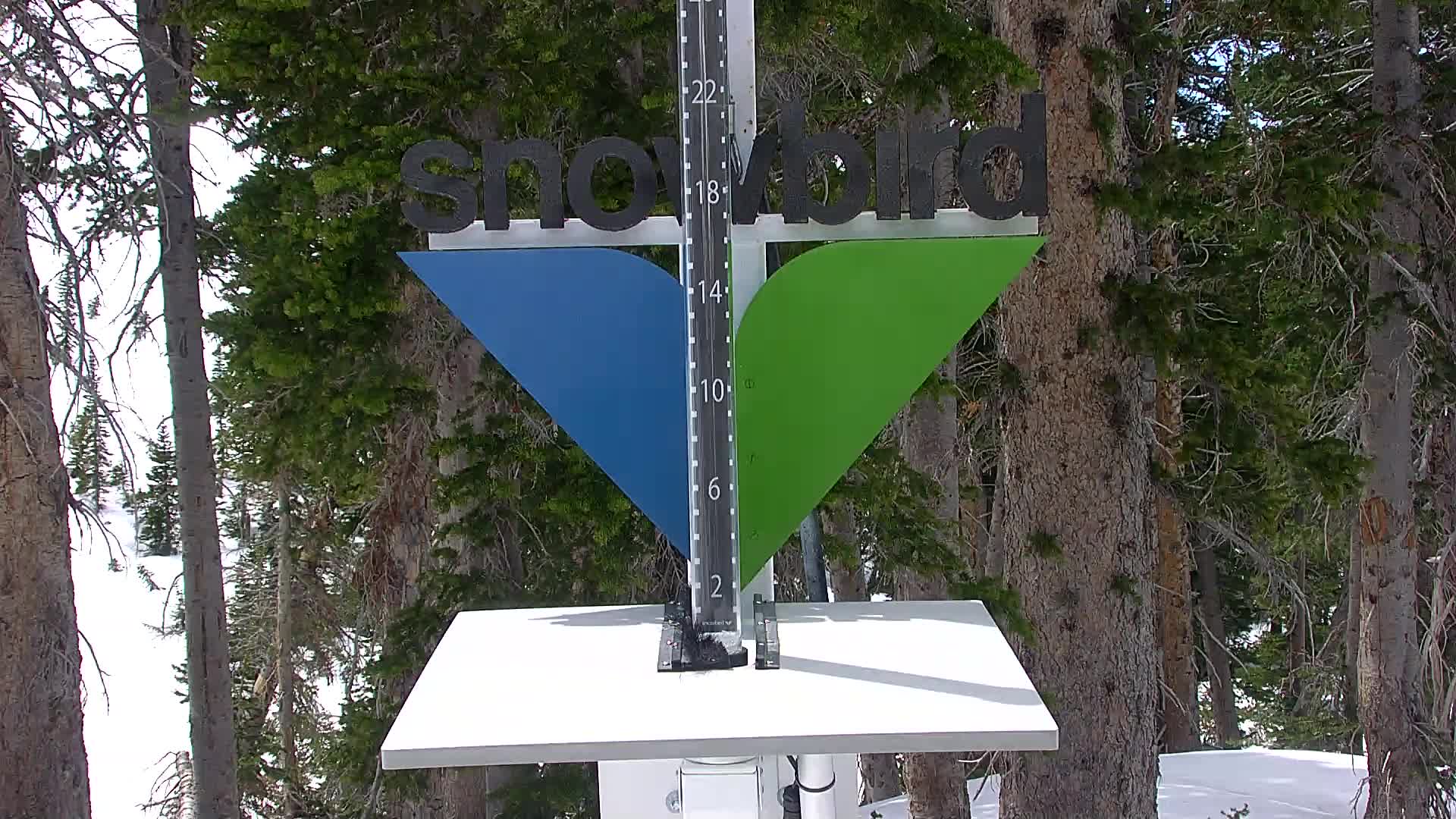 Snowbird snow stake cam