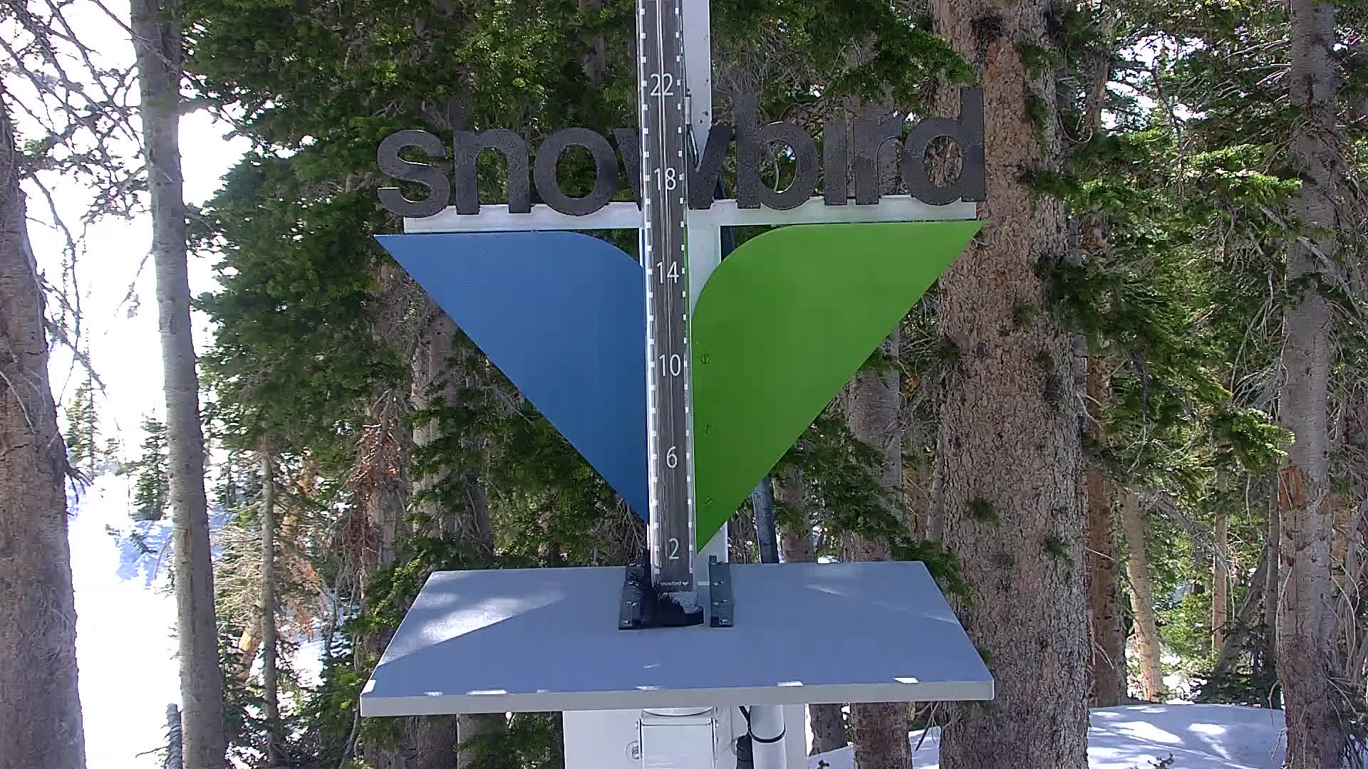 Snowbird snow stake cam