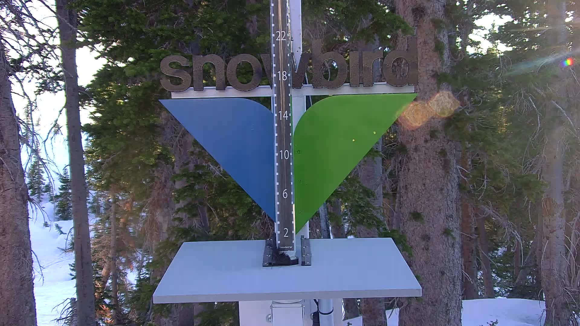 Snowbird snow stake cam