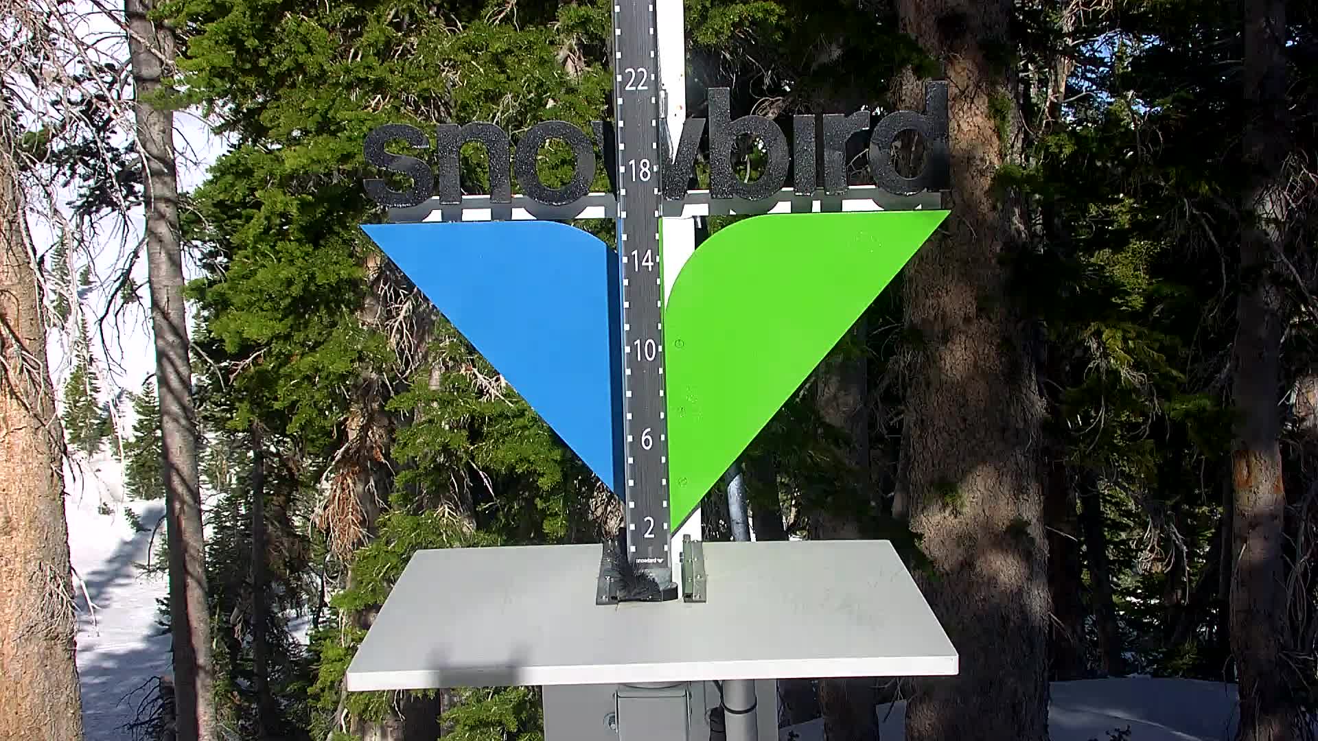 Snowbird snow stake cam