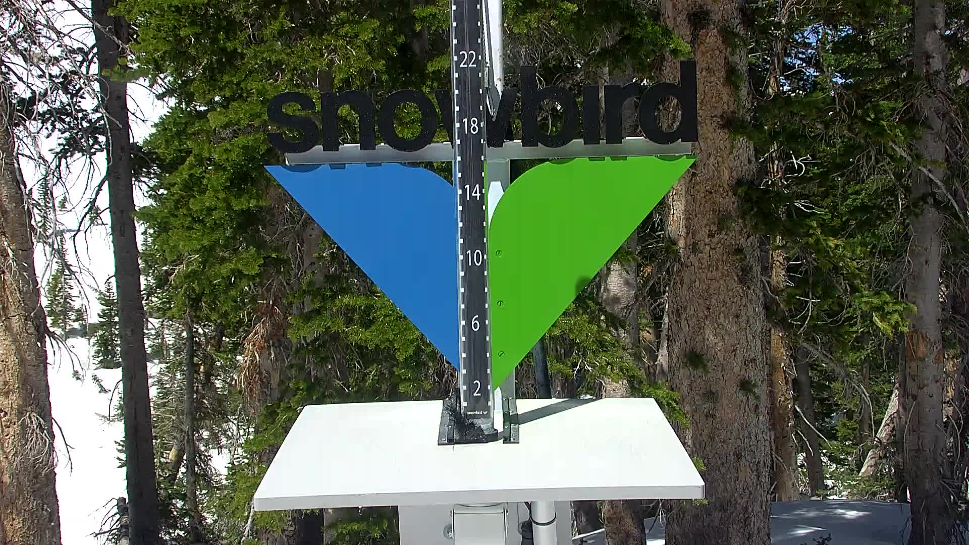 Snowbird snow stake cam