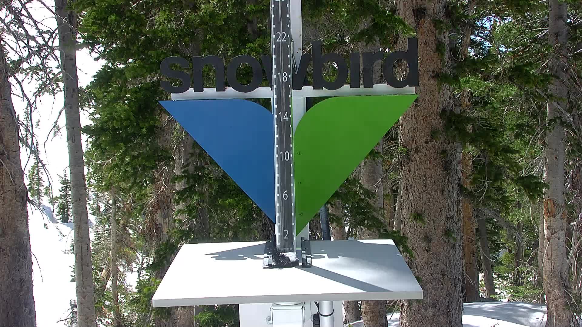 Snowbird snow stake cam