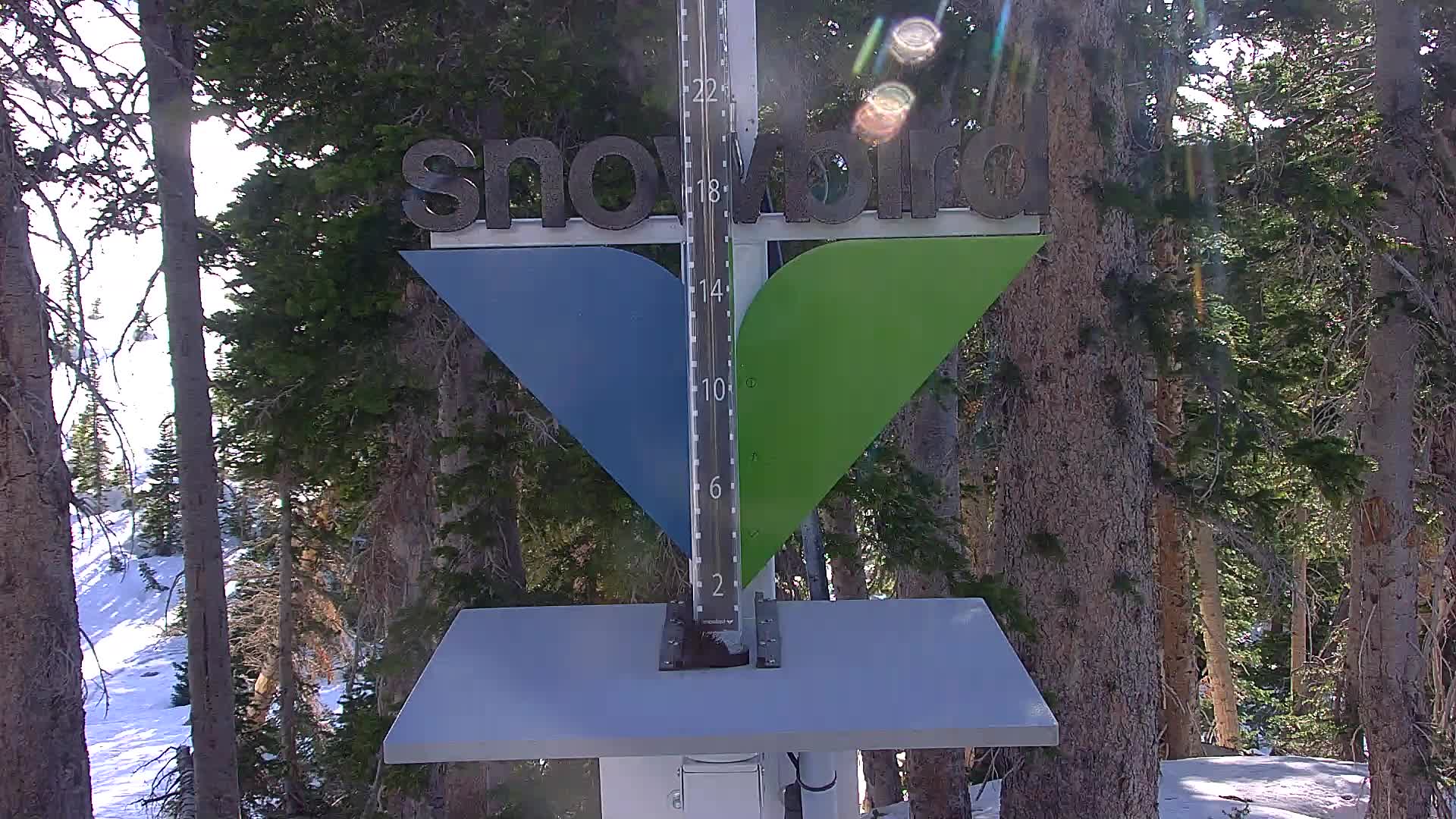 Snowbird snow stake cam