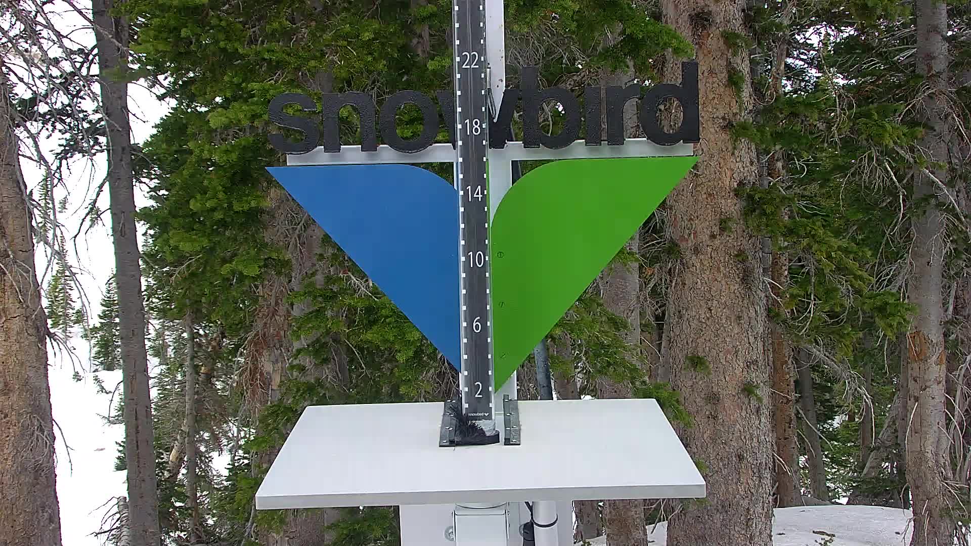 Snowbird snow stake cam