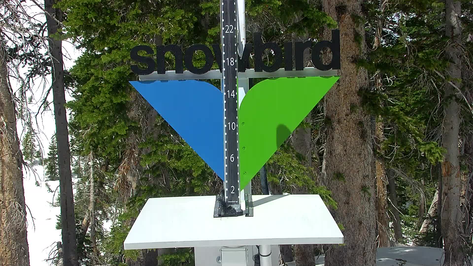 Snowbird snow stake cam