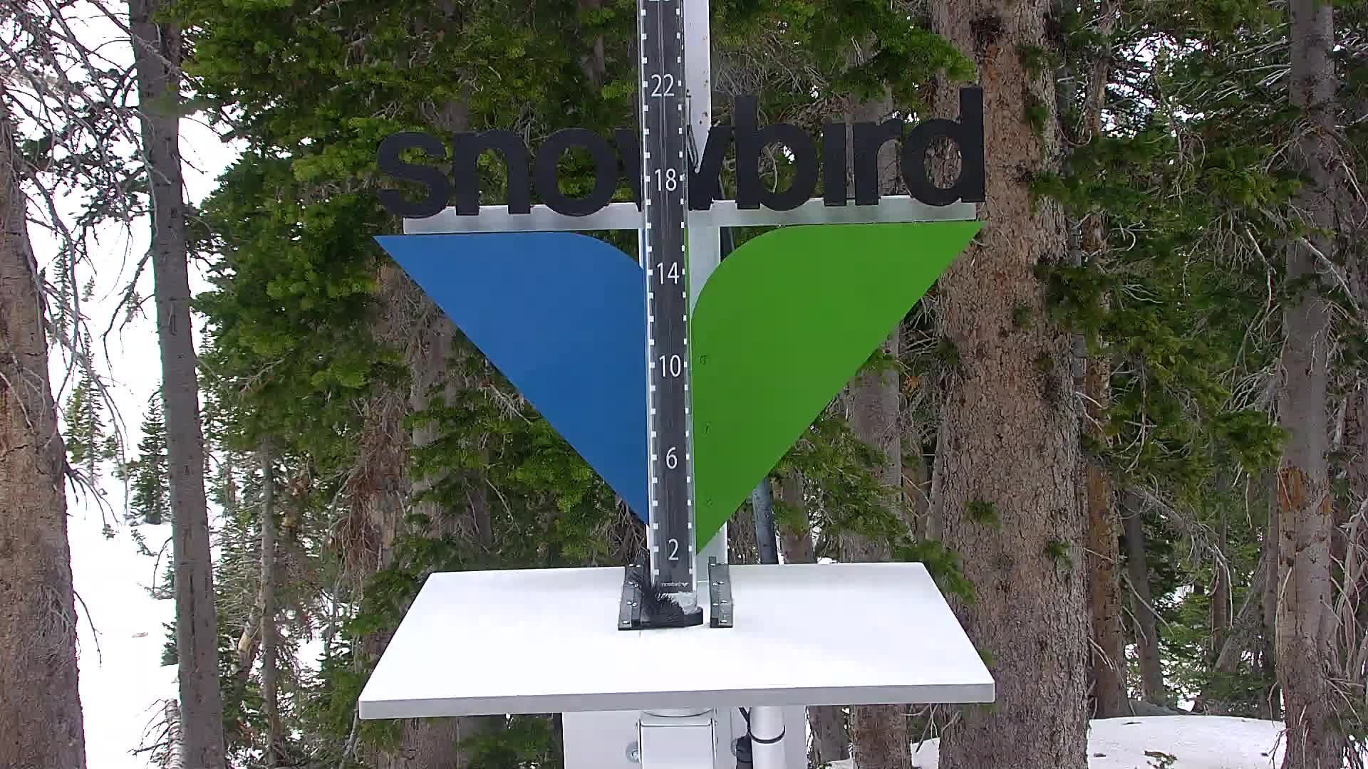 Snowbird snow stake cam