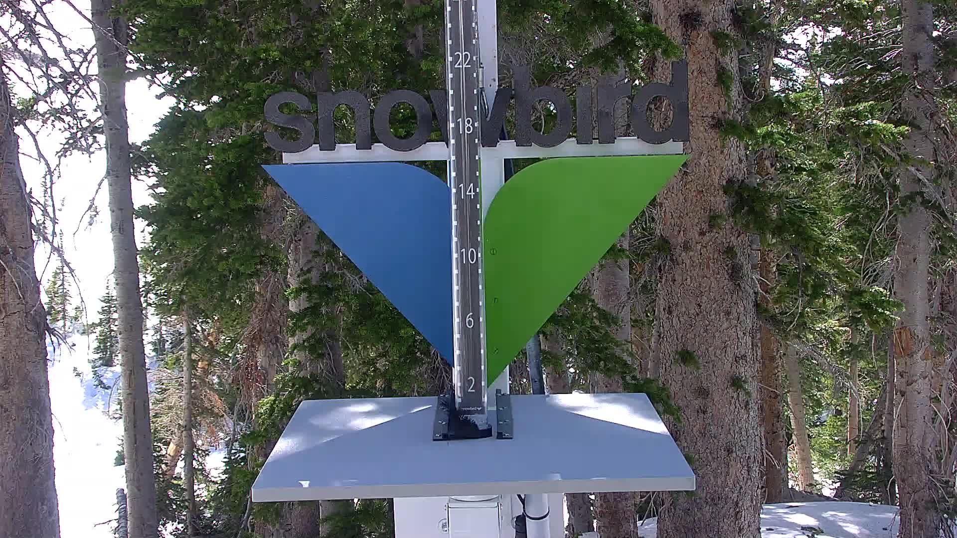 Snowbird snow stake cam