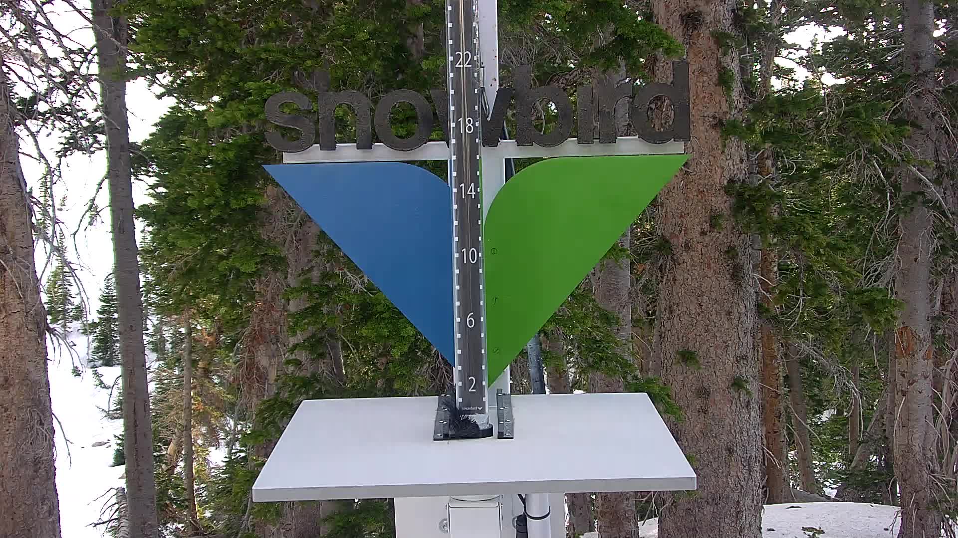 Snowbird snow stake cam