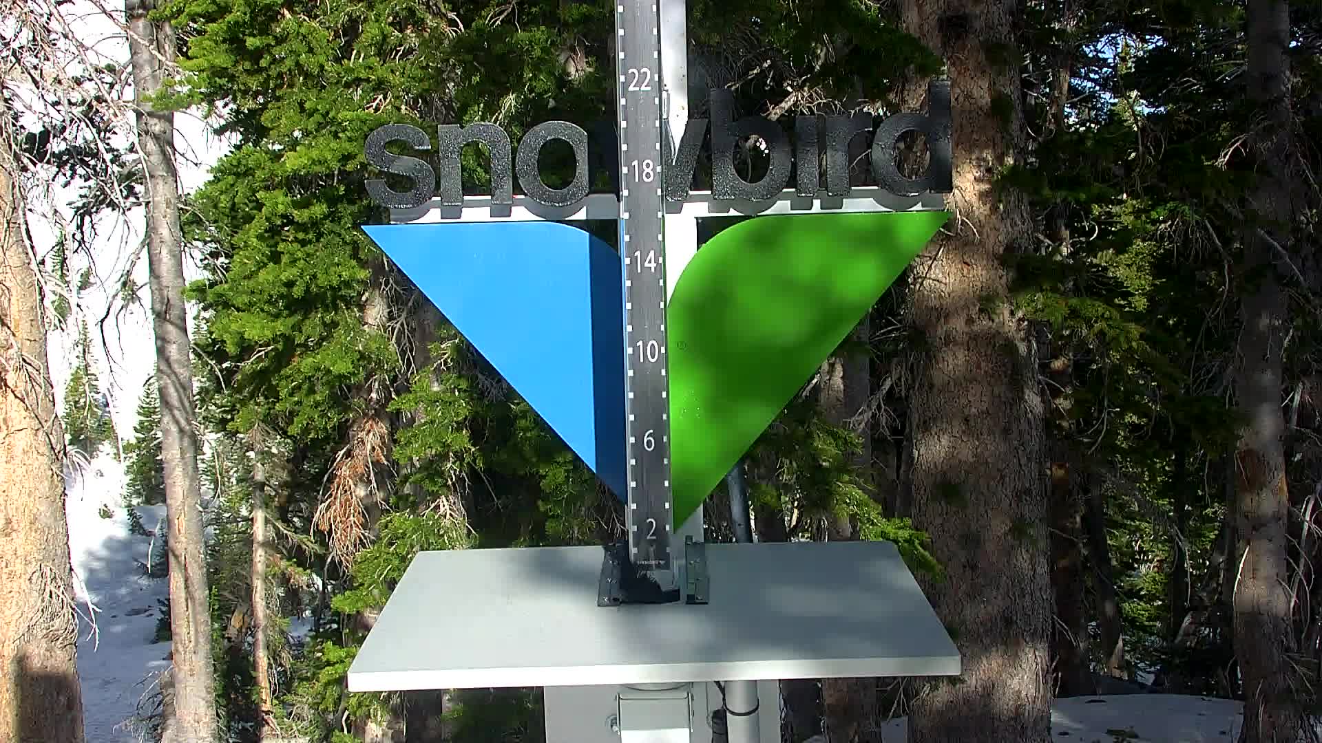 Snowbird snow stake cam